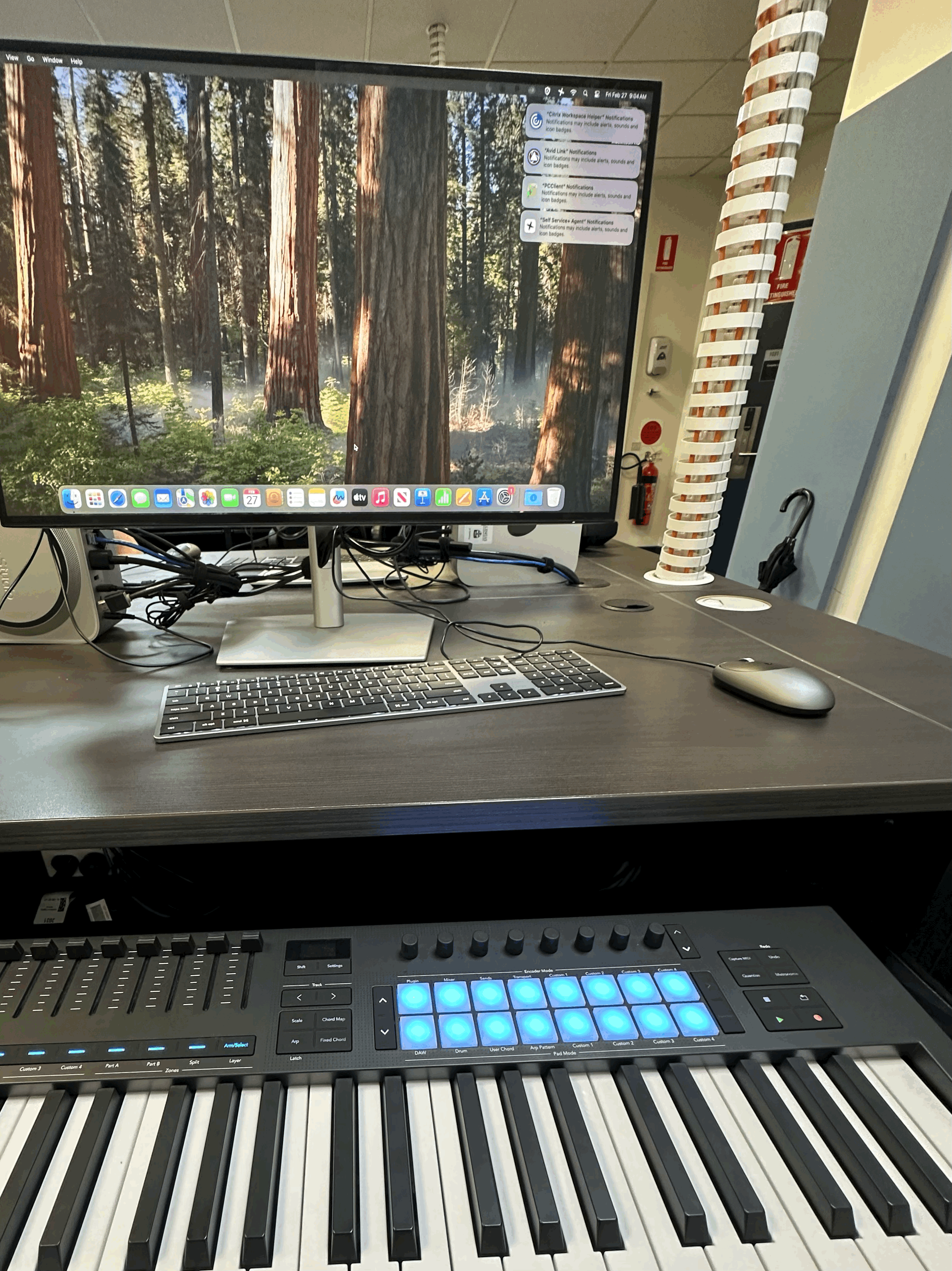 Rewriting Myself as a Musician and Educator