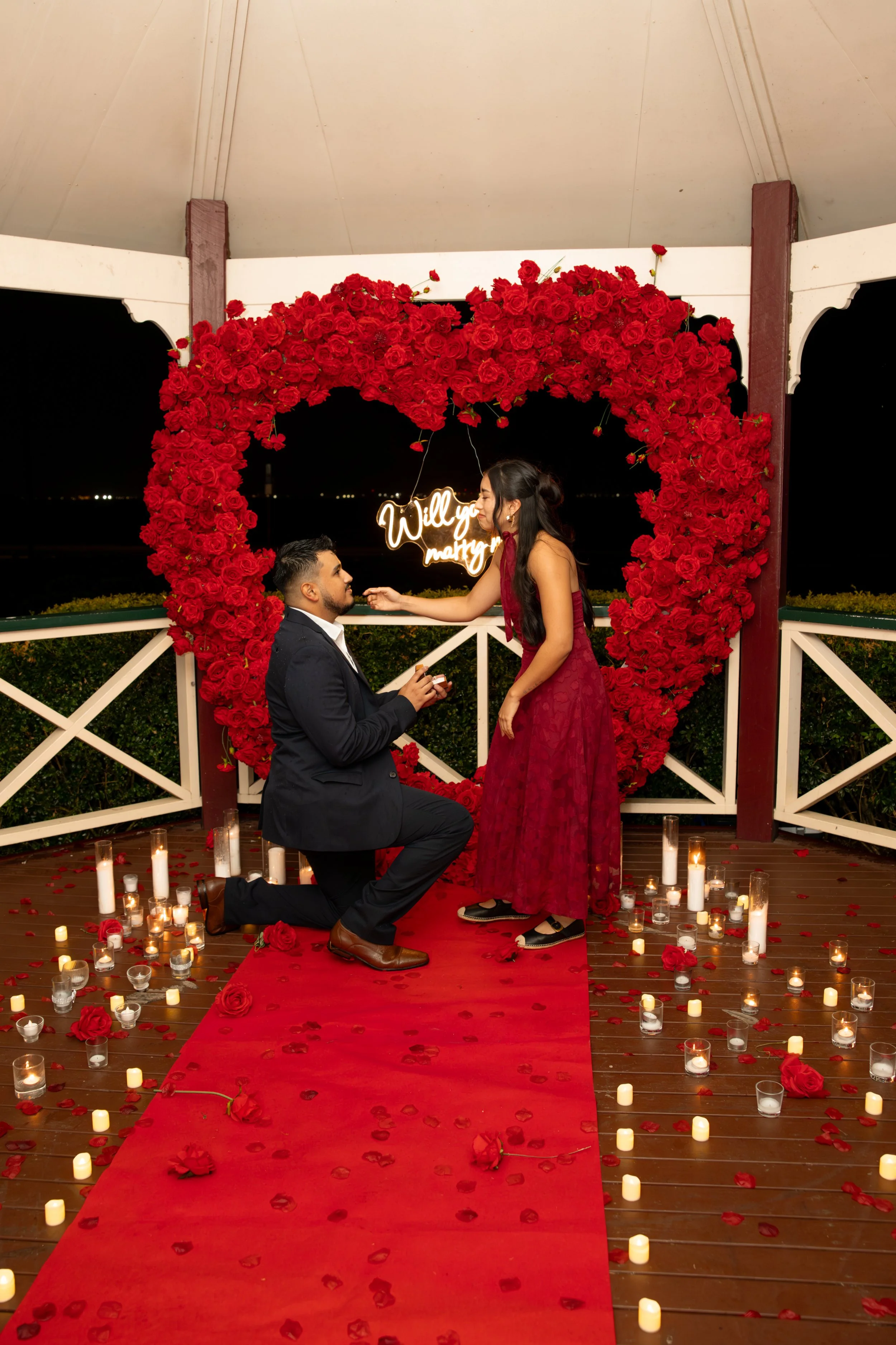 Brisbane Proposal photography. Affordable photographer