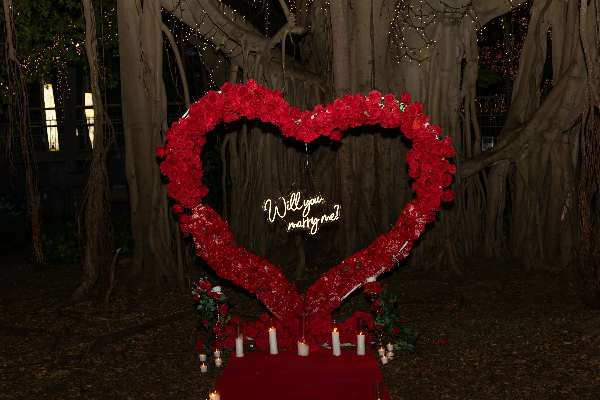 YMPhotography (1).jpg