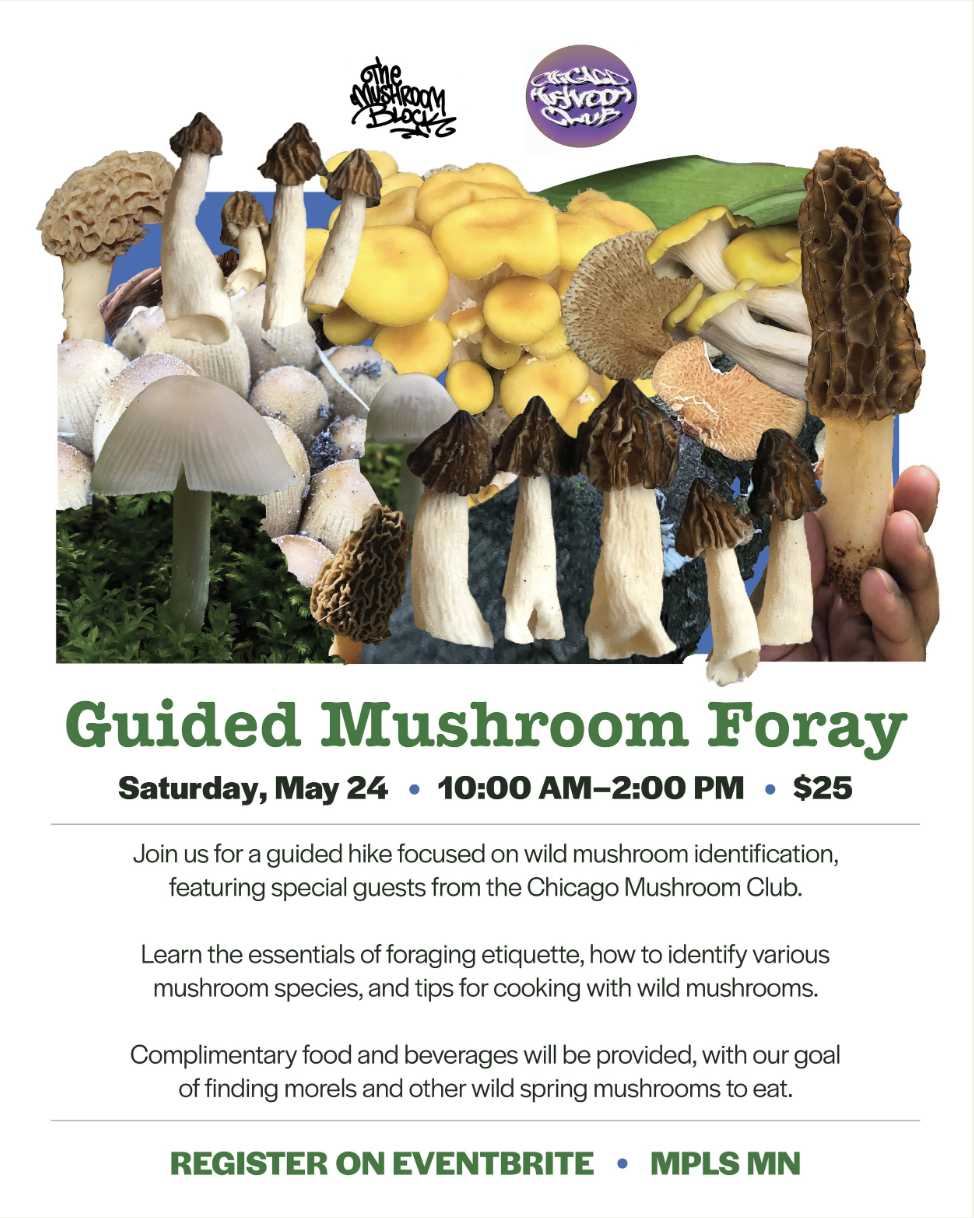 Guided Mushroom Foray