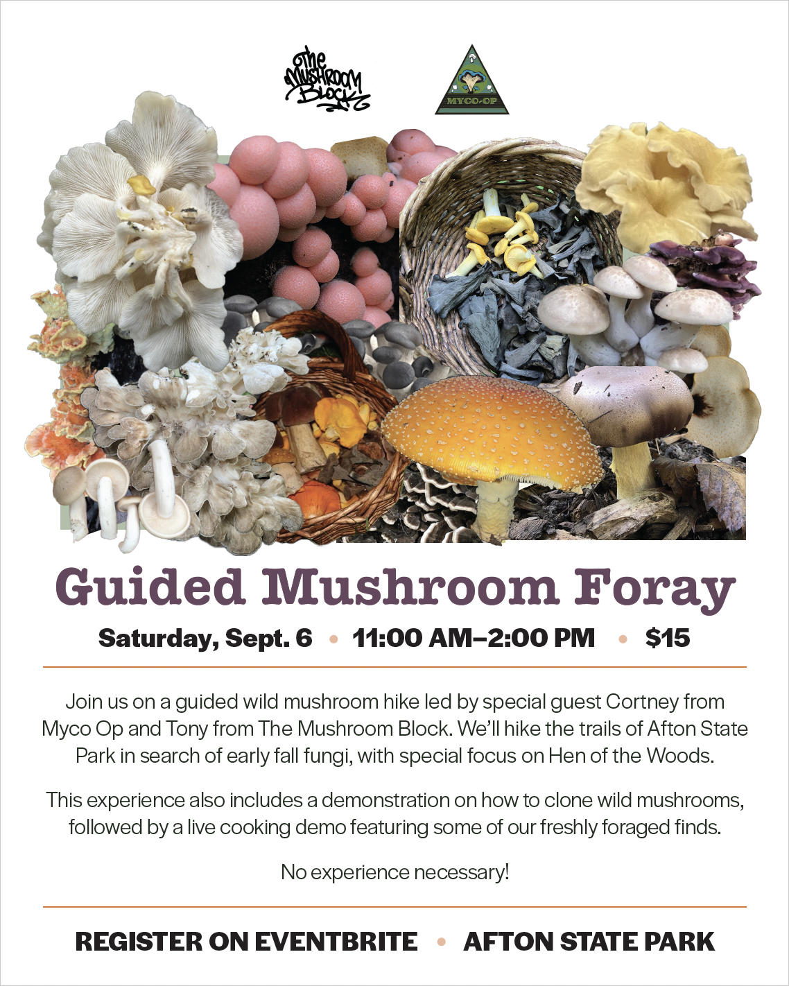 Guided Mushroom Foray at Afton state park
