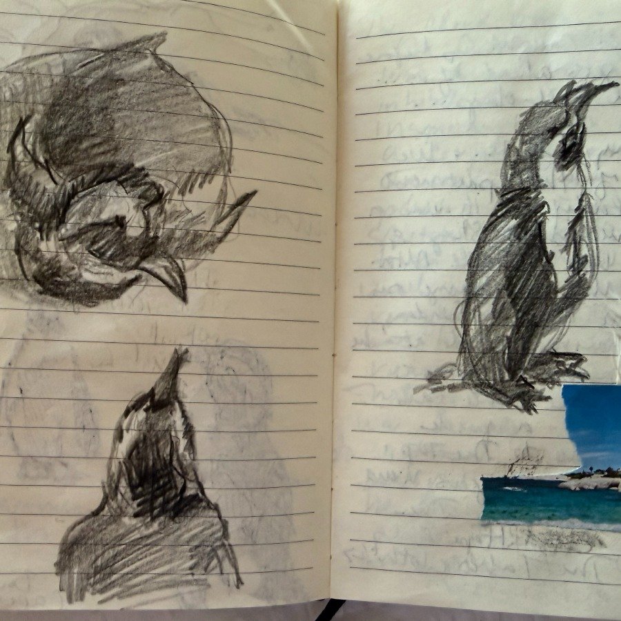 ✨ Notes from South Africa.

Moving through Cape Town and along the Garden Route &mdash; but as always, the real journey is through the sketchbook.

Between hikes around Table Mountain, time with the penguins at Boulders Beach, and visits to the Zeitz