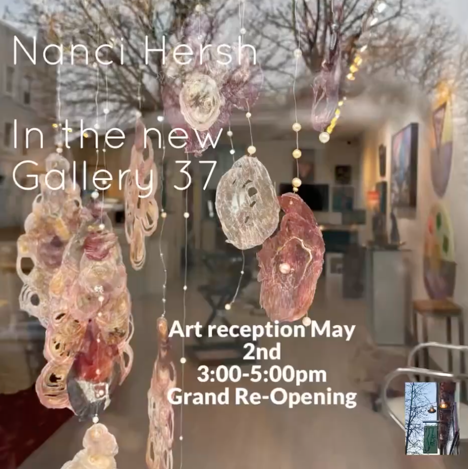 Window installation by Nanci Hersh at Gallery 37 featuring suspended translucent forms made from onion paper, with text announcing the May 2 reopening and art reception.