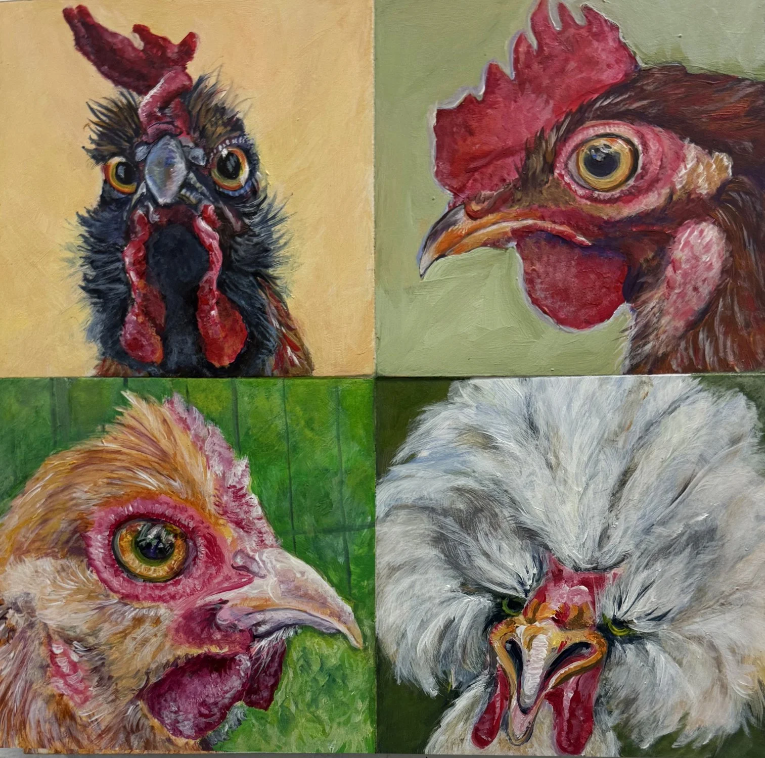 '25_scrutiny afowl.jpg