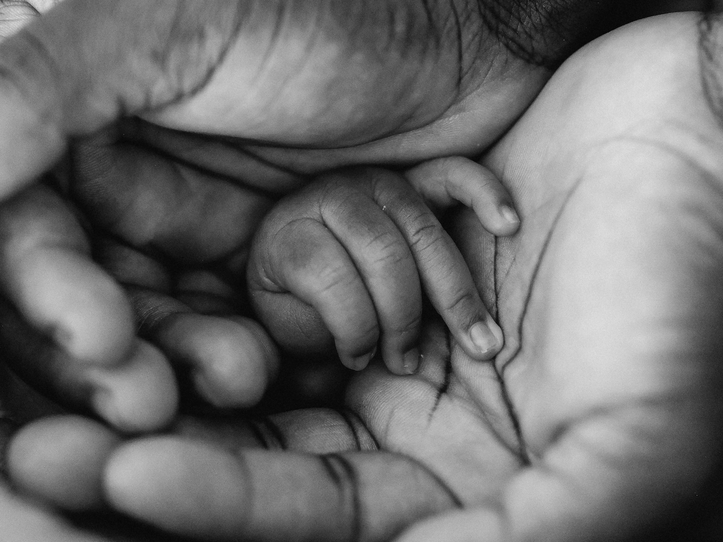 Black and white close-up photograph of a baby's hand grasping an adult's finger.