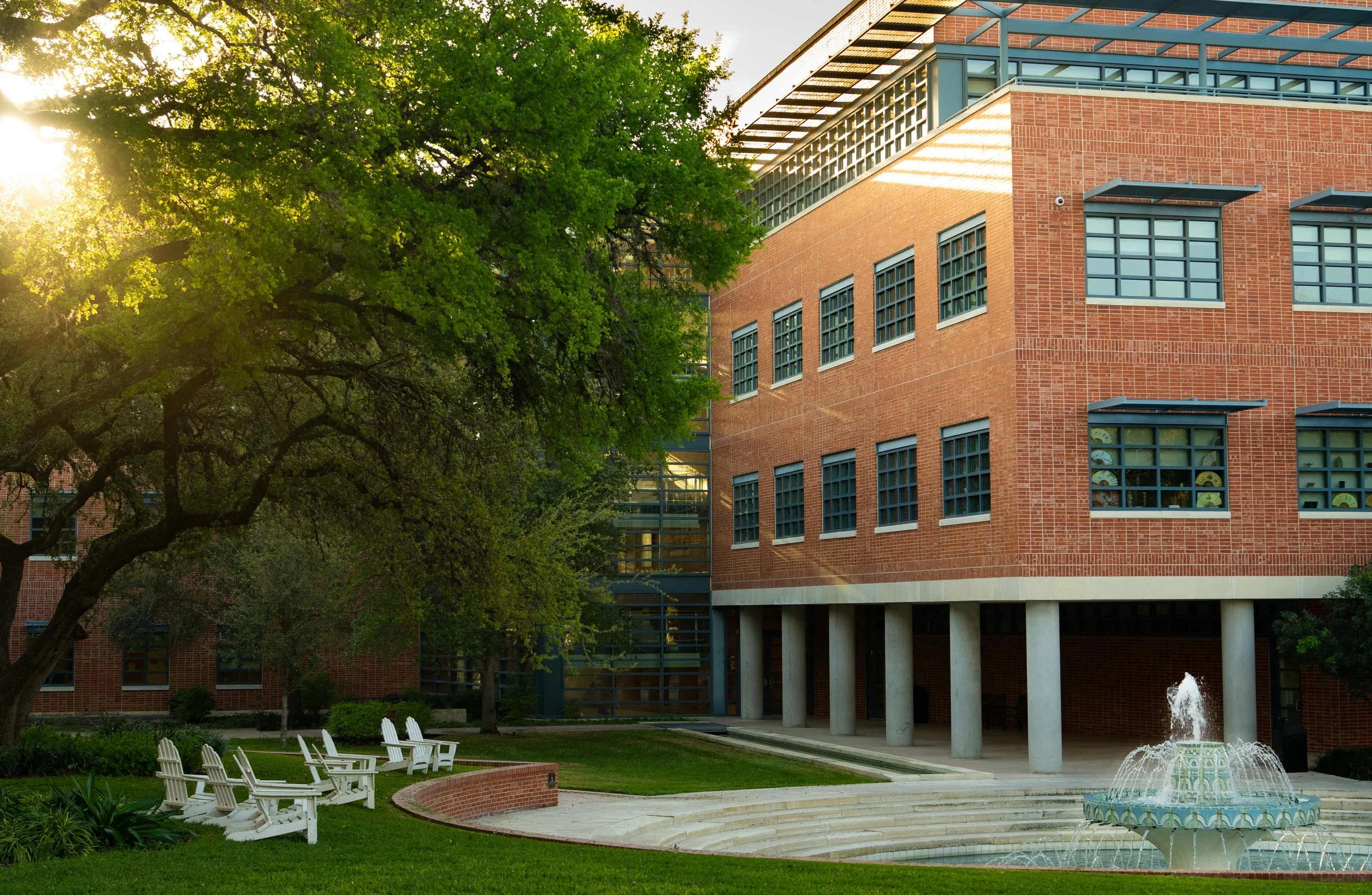 Trinity Sunshine-20260318-004.jpg