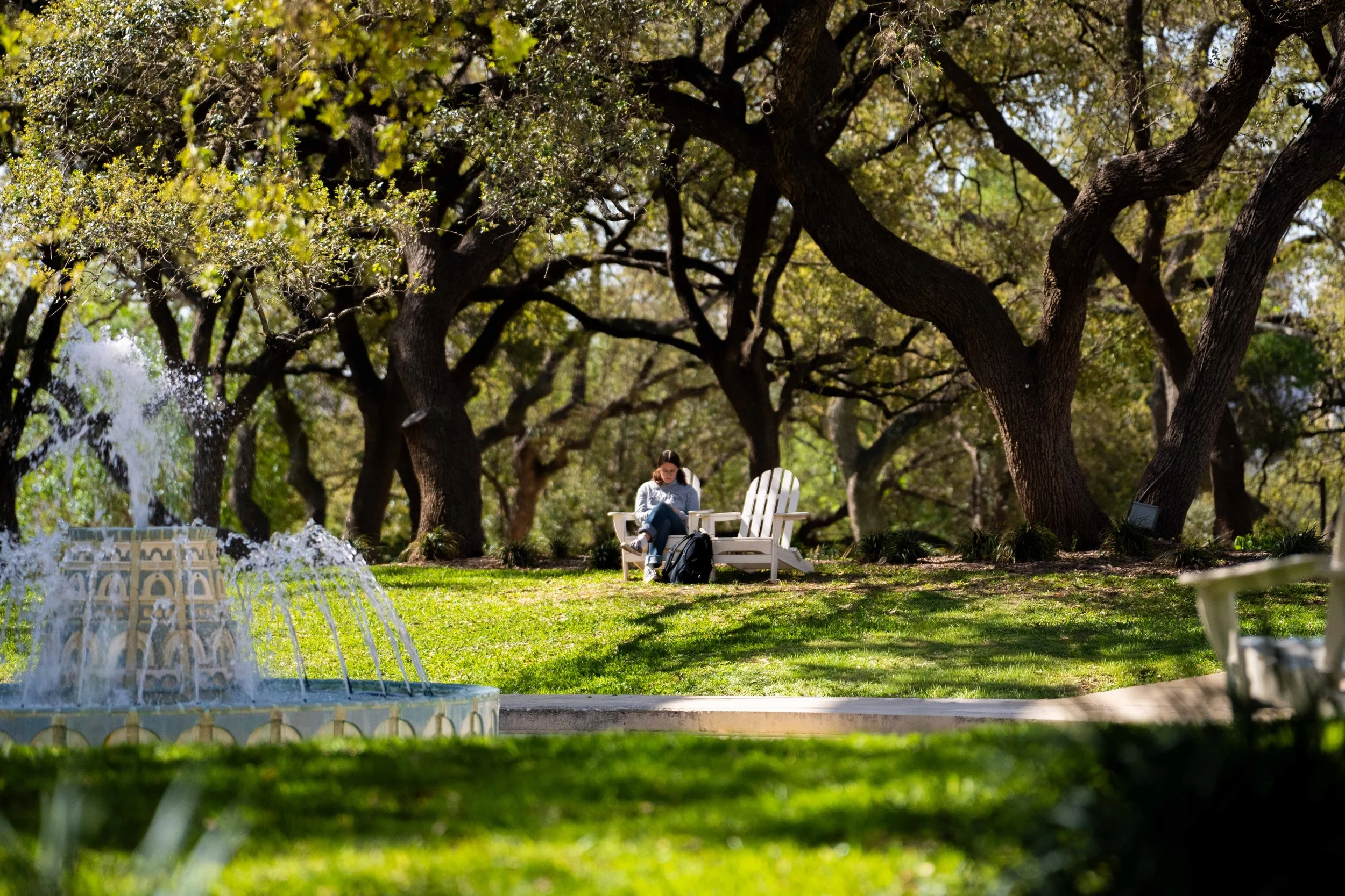 Trinity Sunshine-20260318-005.jpg