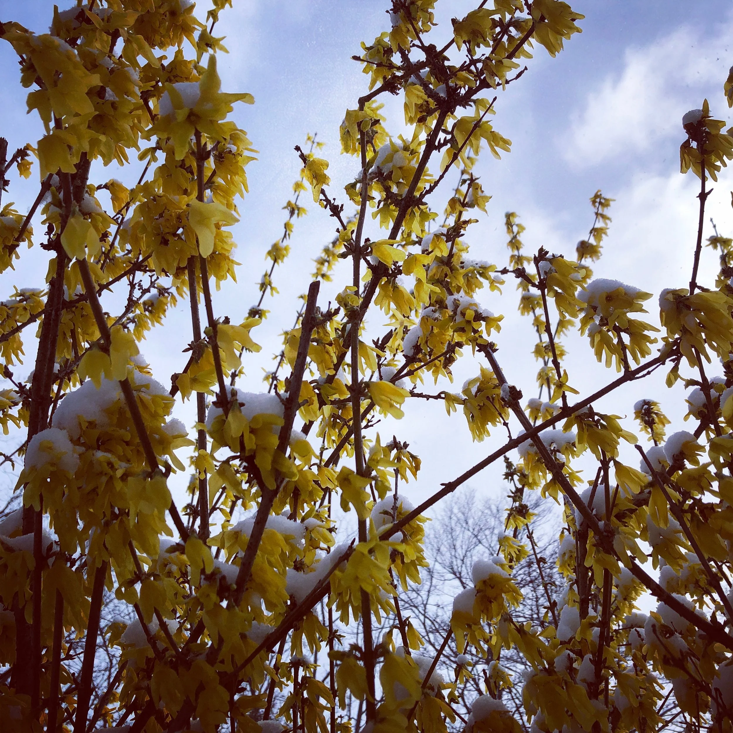 Why Symptoms Flare During Seasonal Transitions | Natural Allergy Relief &amp; Applied Kinesiology in WNC