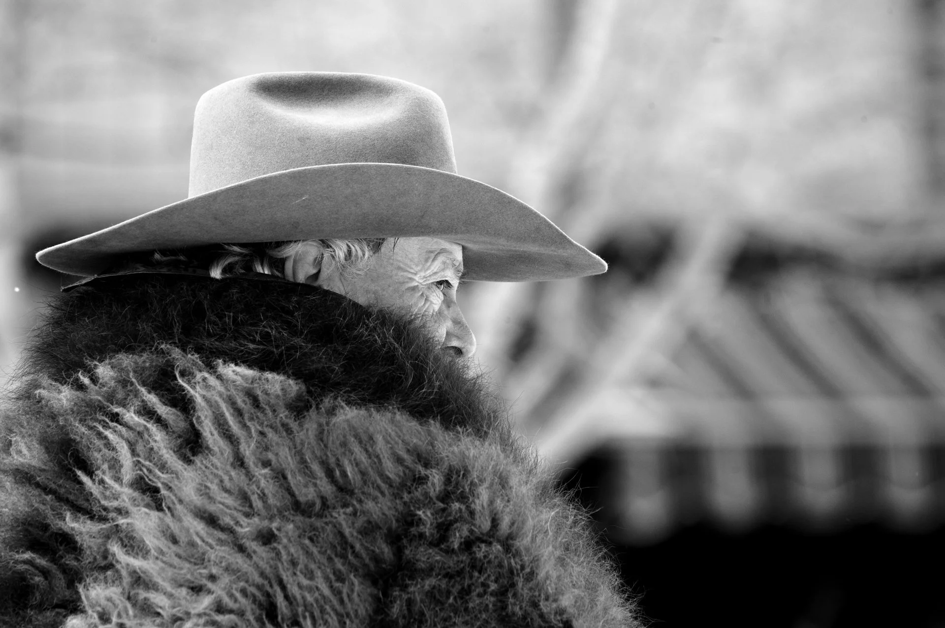 Cowboy.jpg