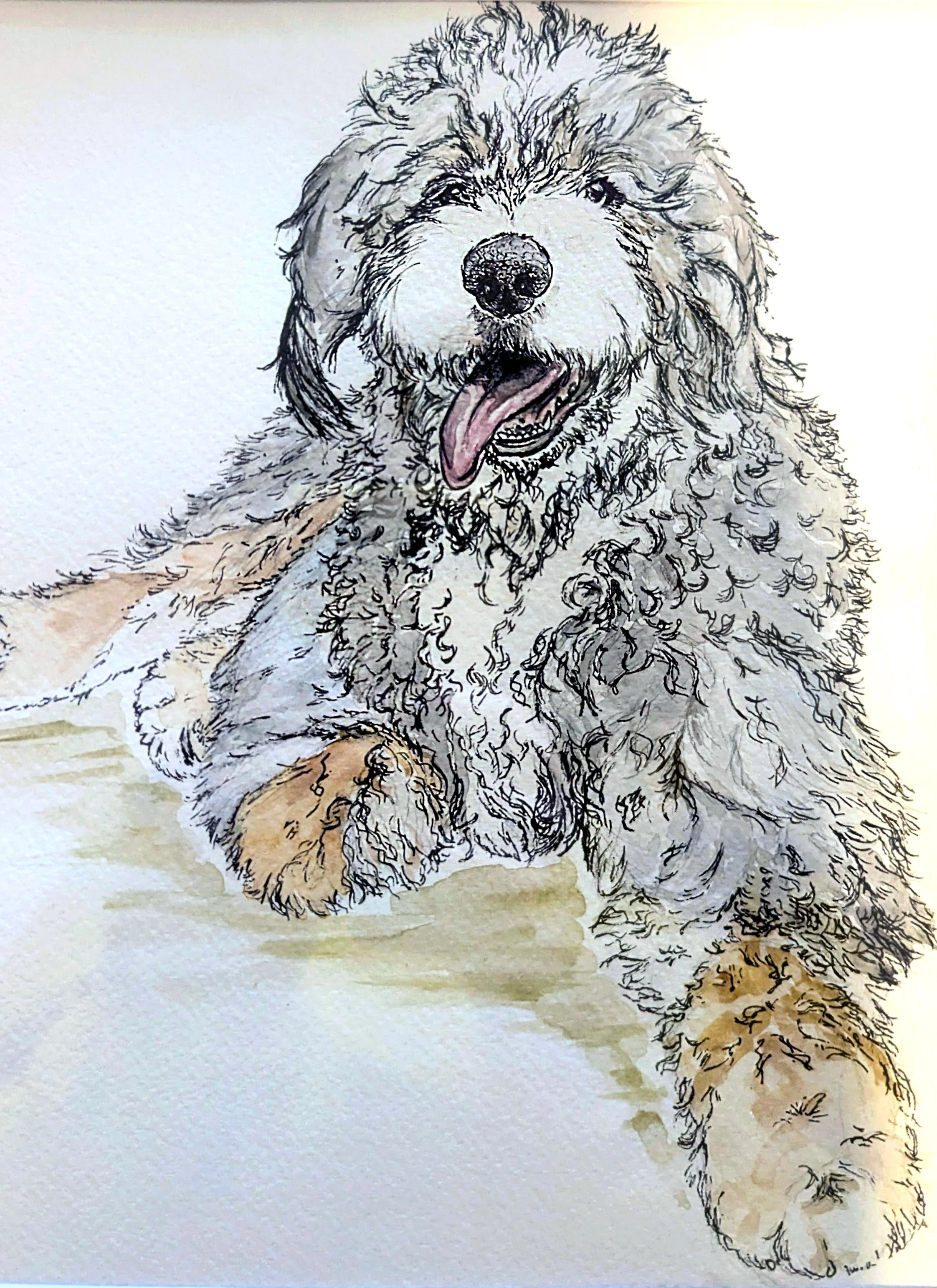 FLUFFY+DOG+SHARP.png