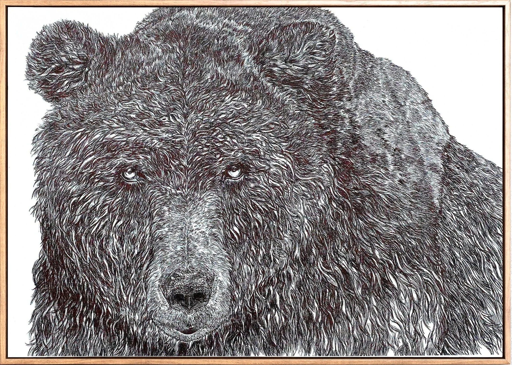 bear+1.jpg