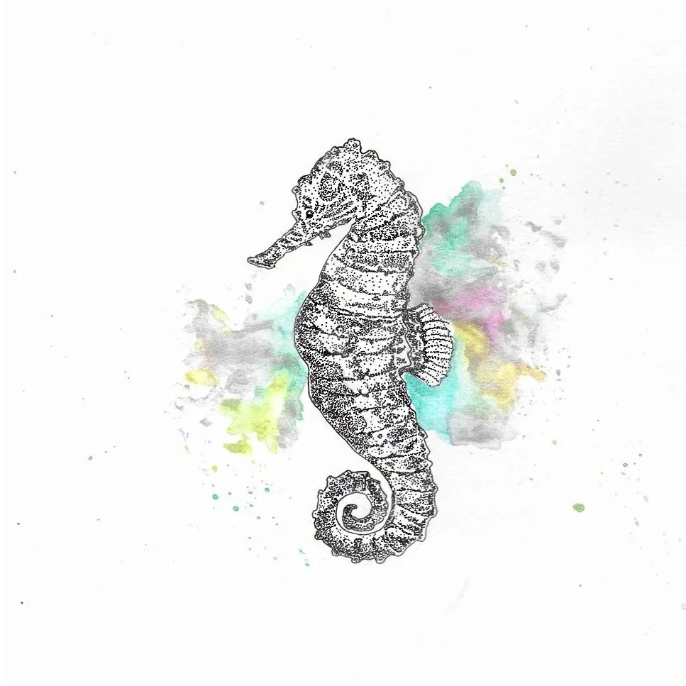 seahorse.jpg