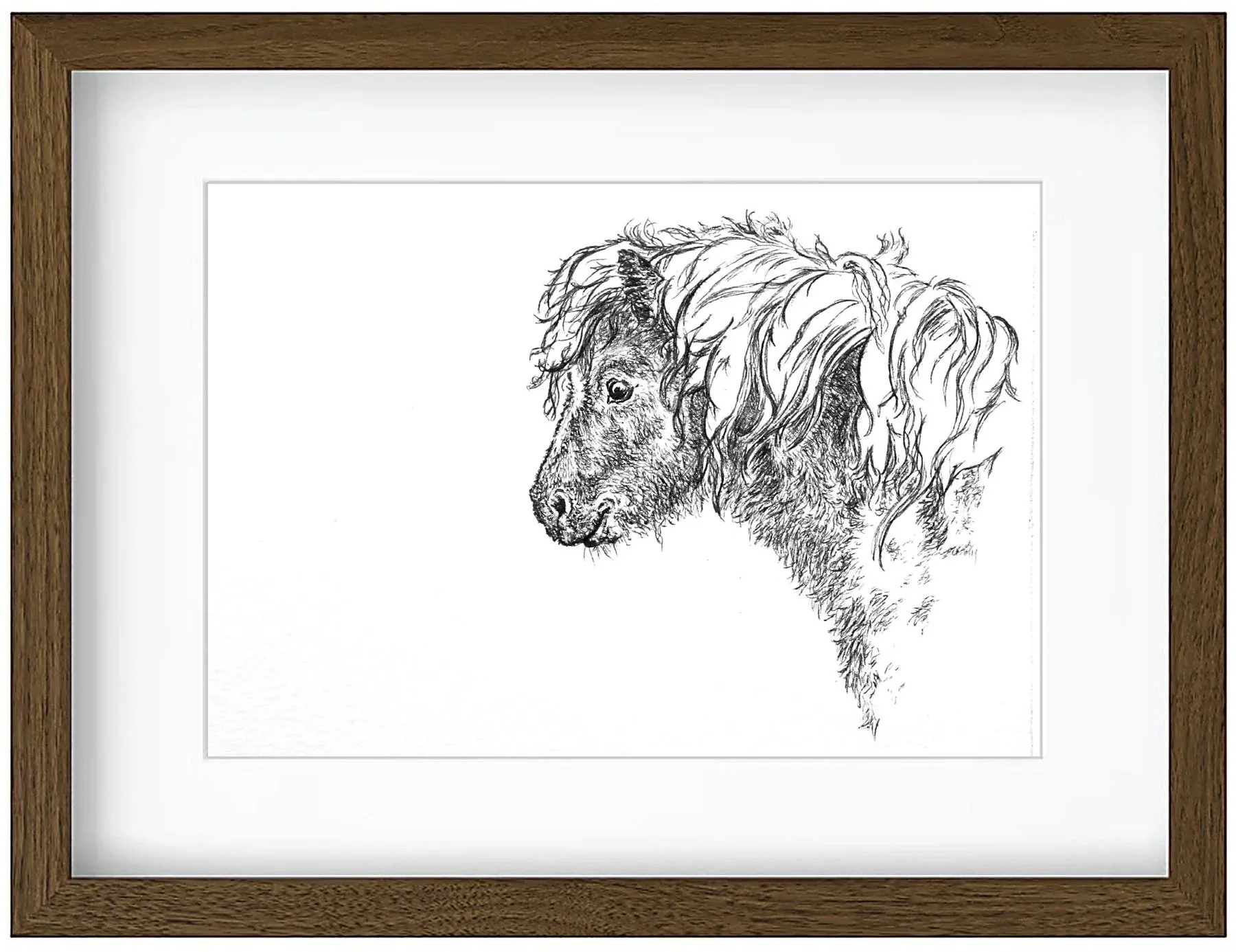 pony+framed.jpg