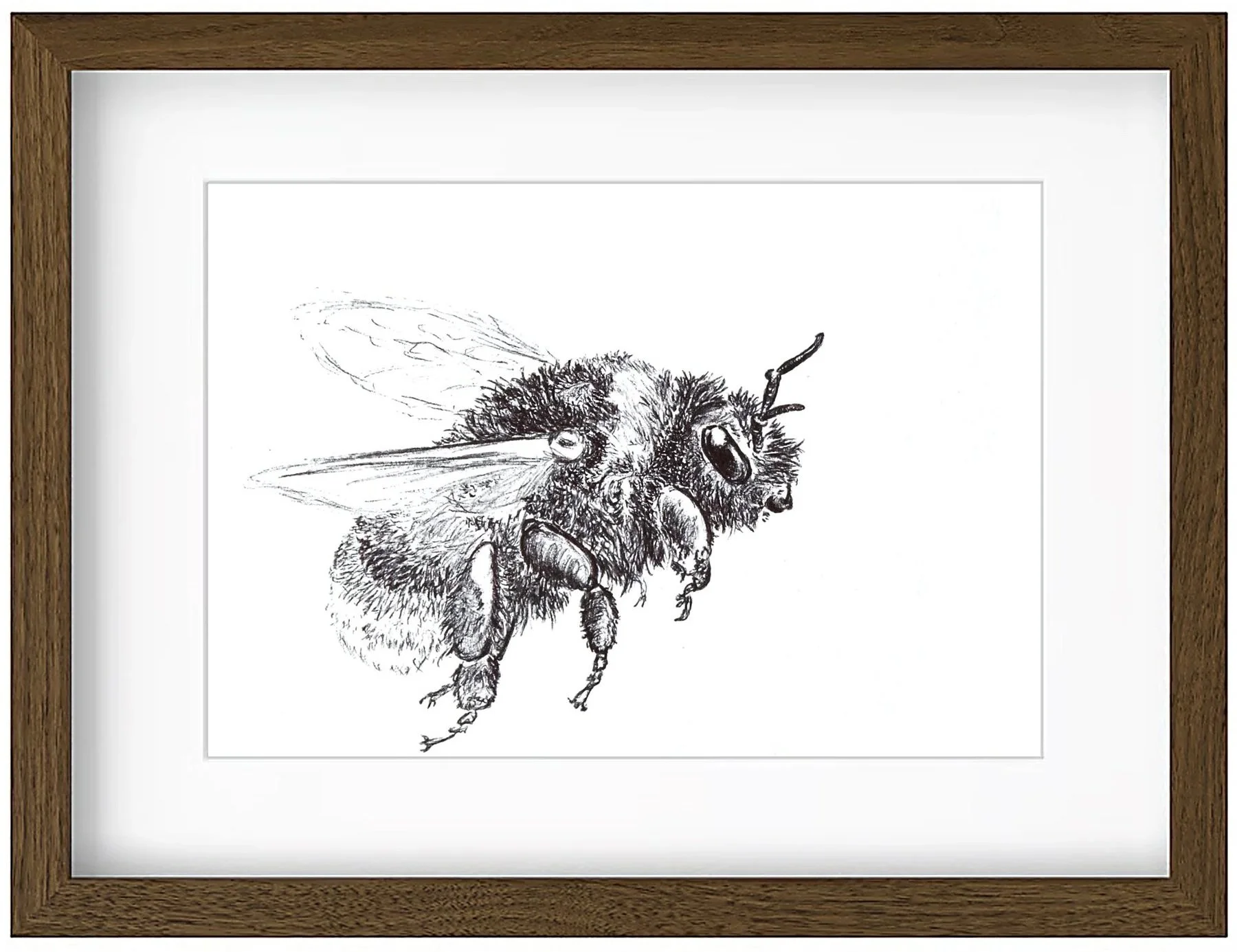 bee+framed.jpg