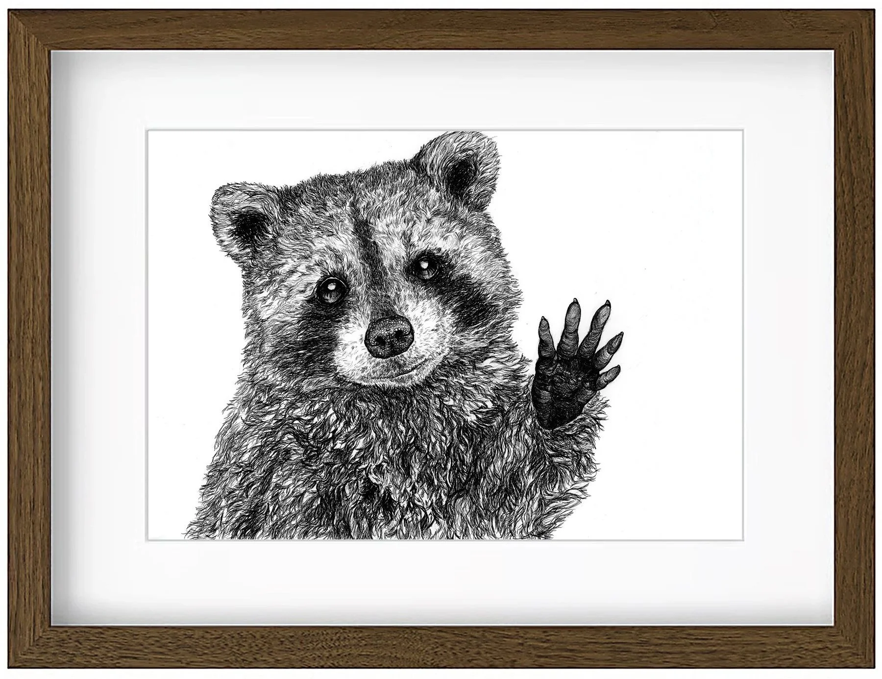 racoon+framed2.jpg