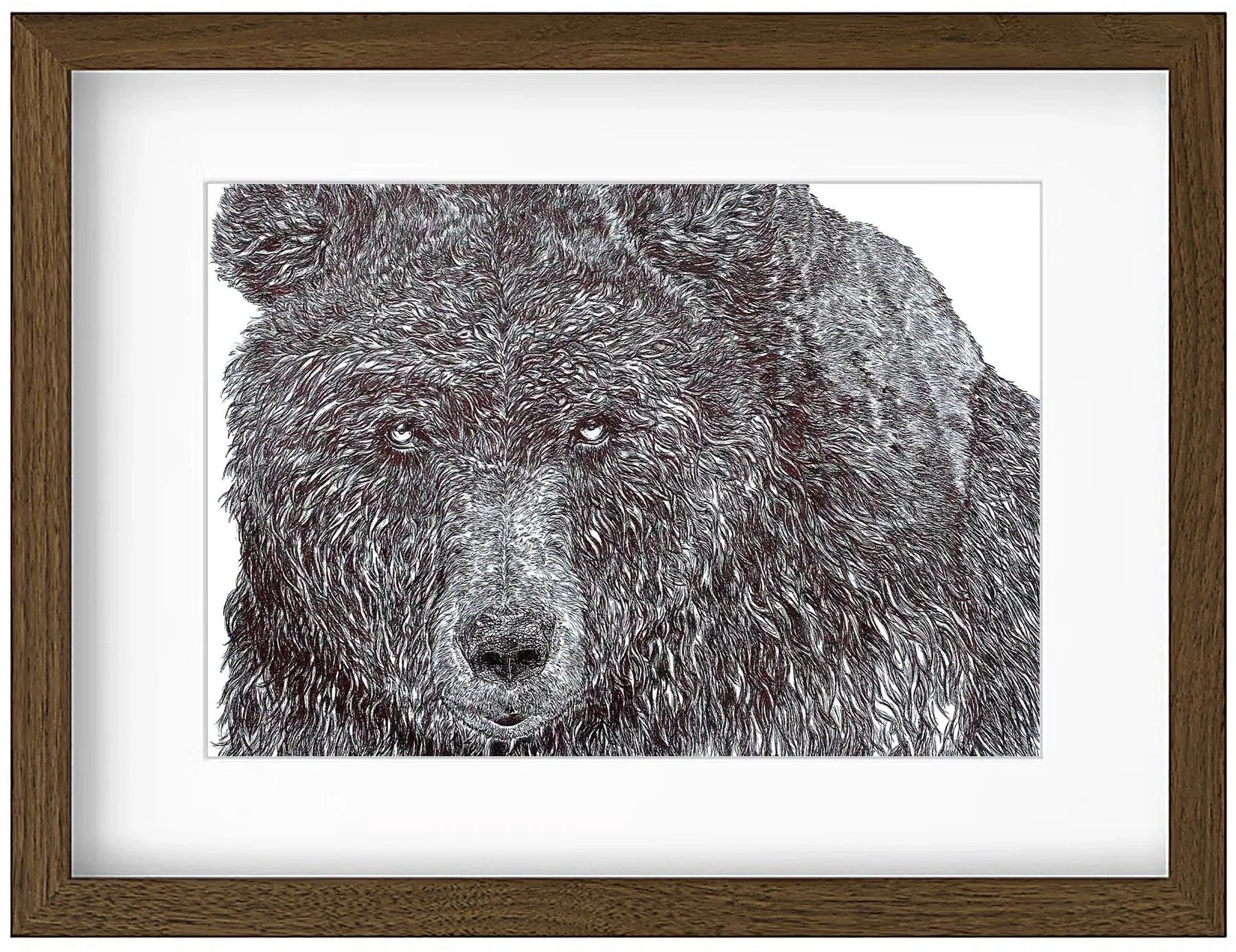 bear+framed2.jpg