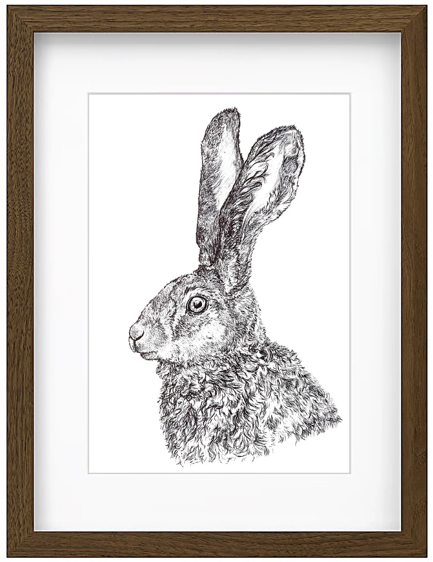 hare framed.jpg