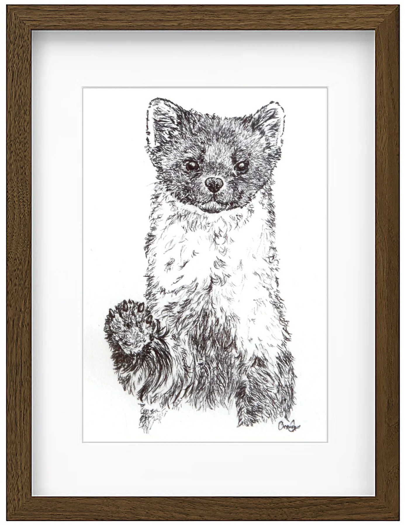pinemarten framed.jpg