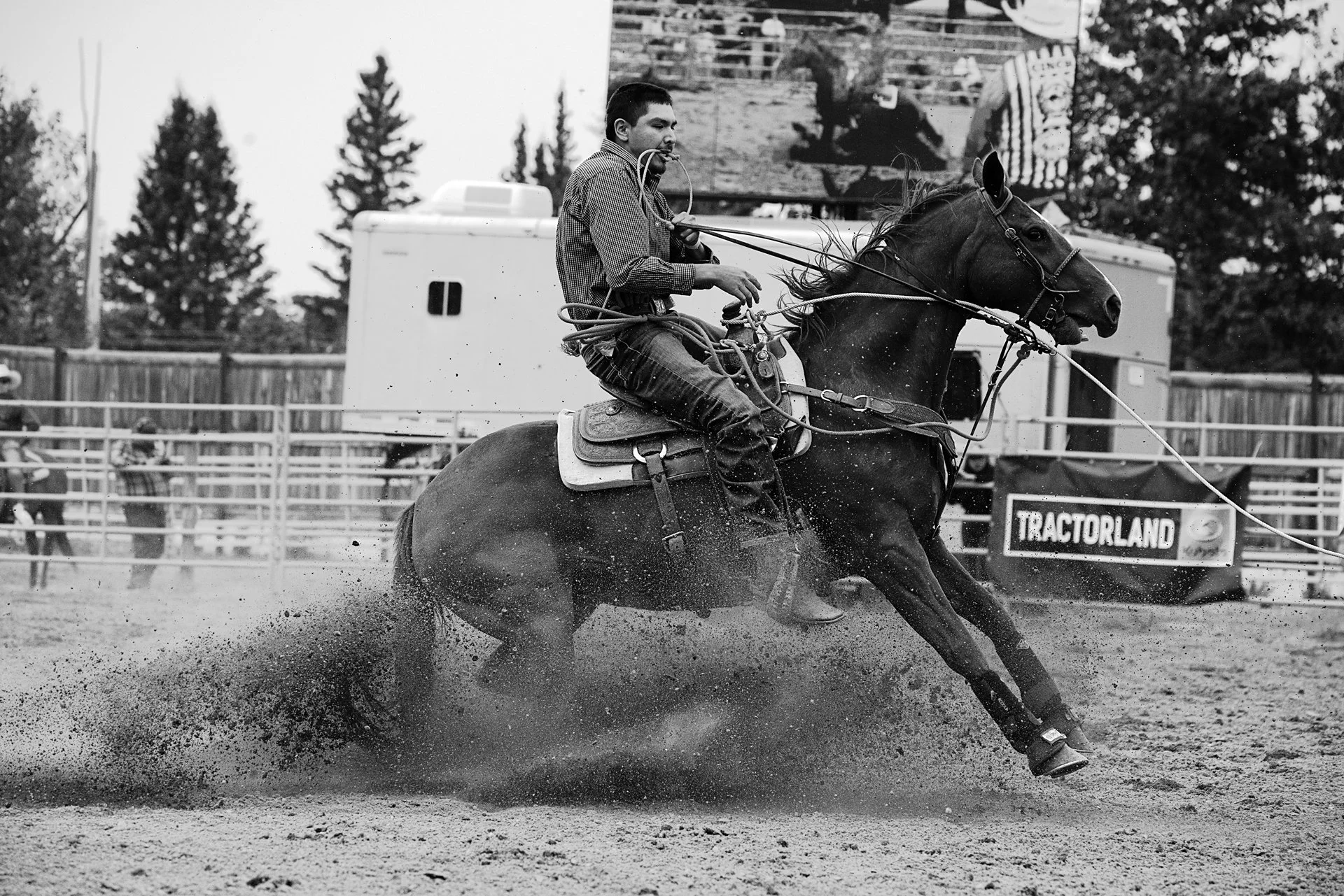 horse-power.jpg