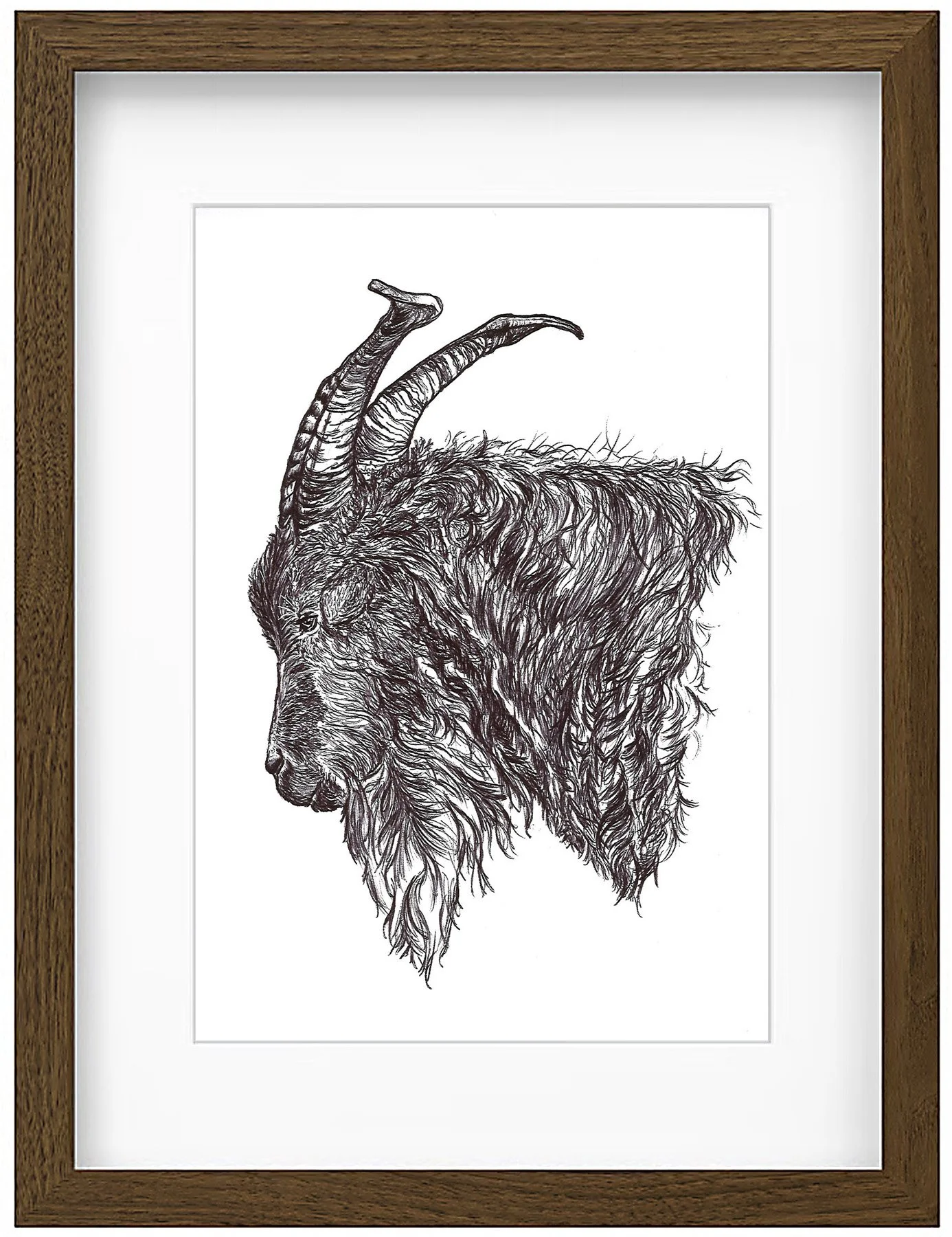 goat framed2.jpg