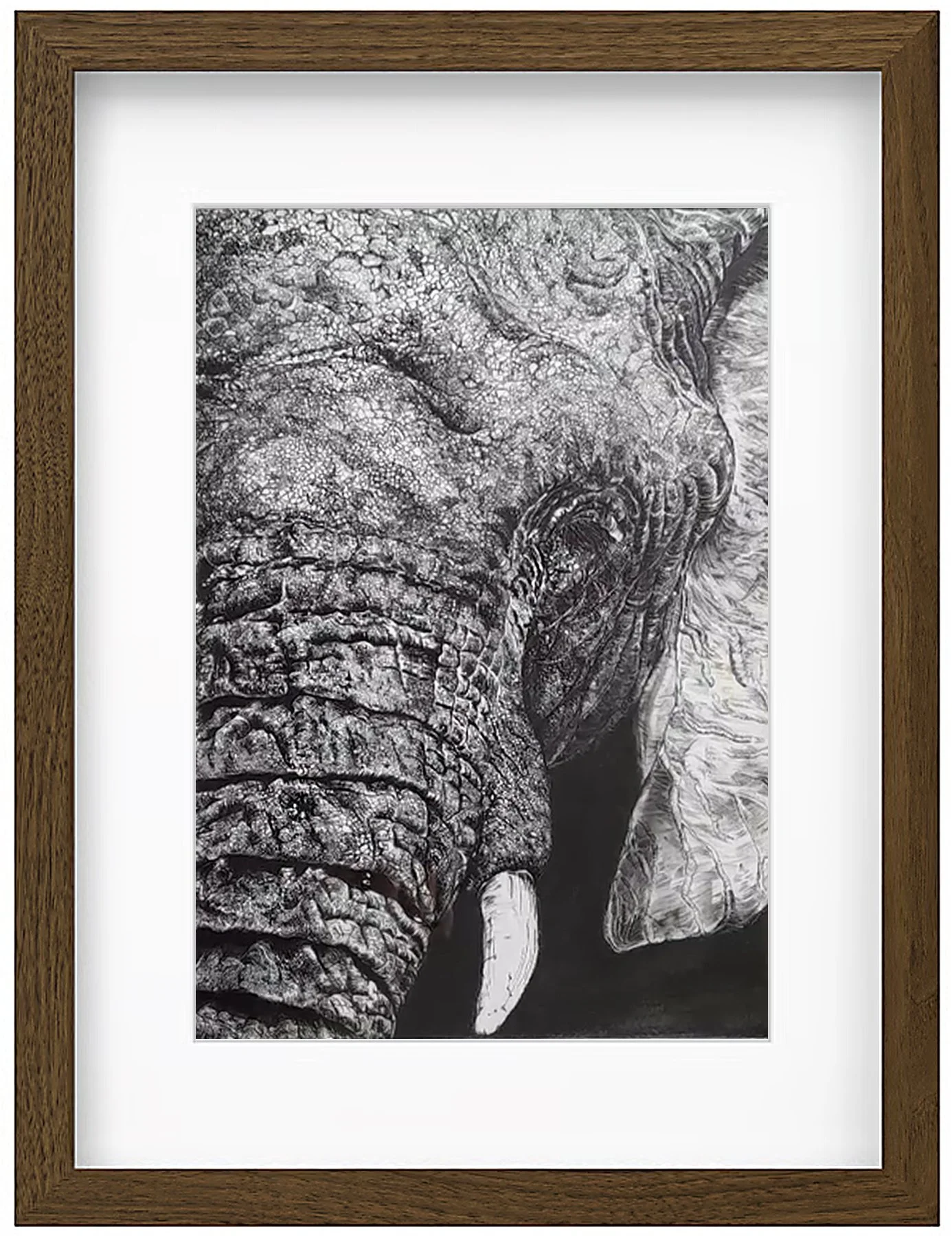 elephant framed2.jpg
