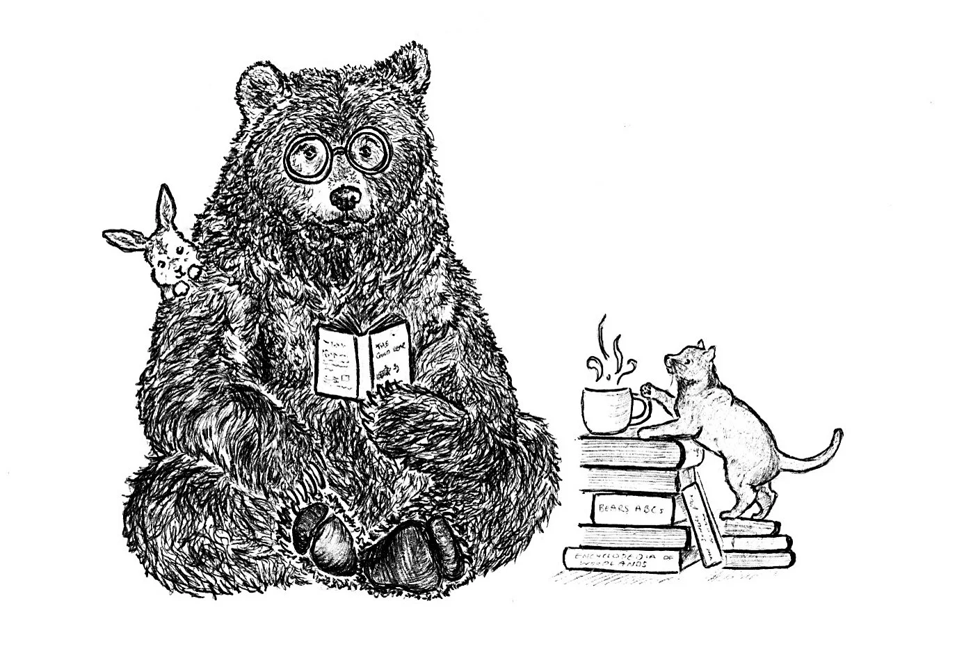 Bear reading.jpg