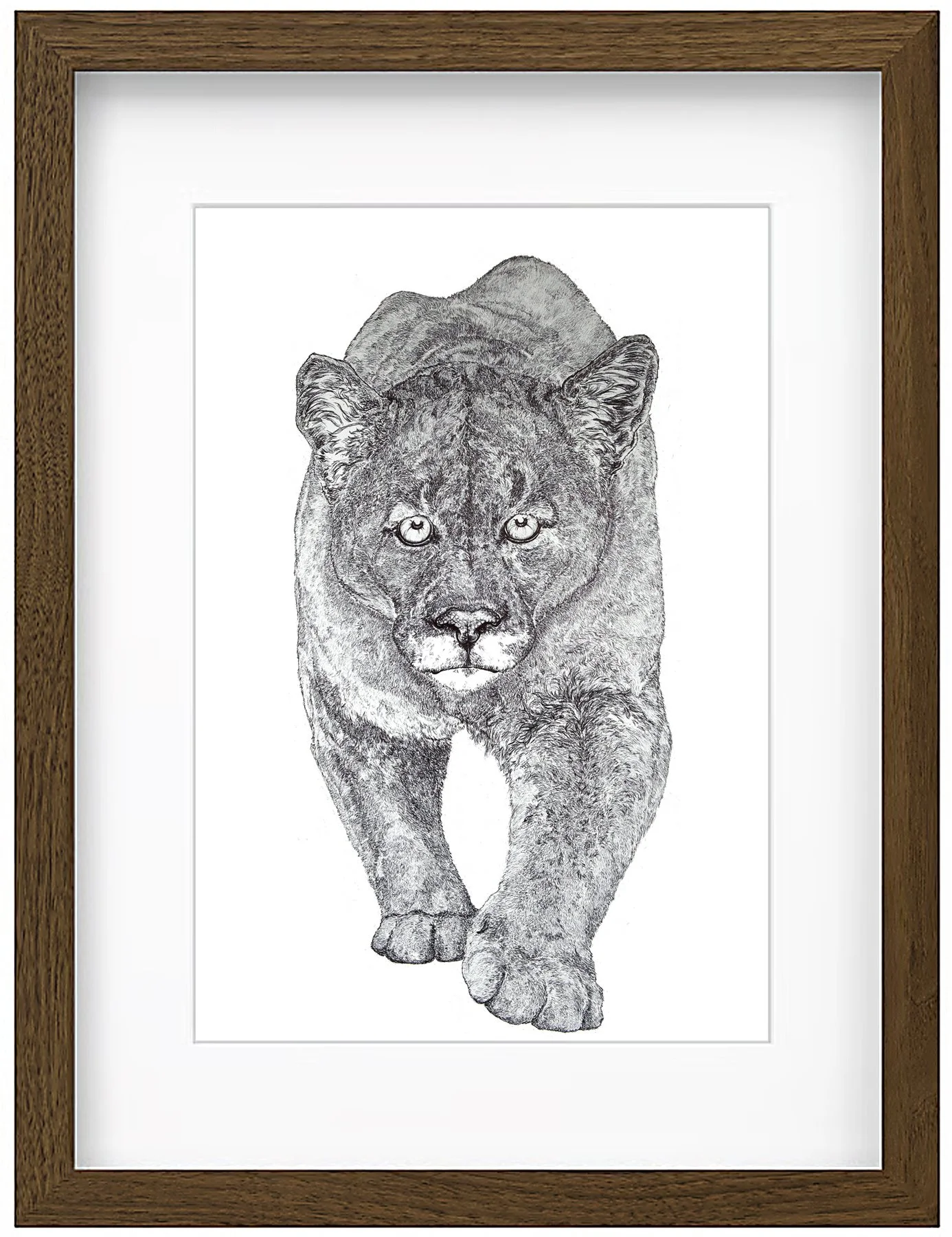 cougar framed2.jpg