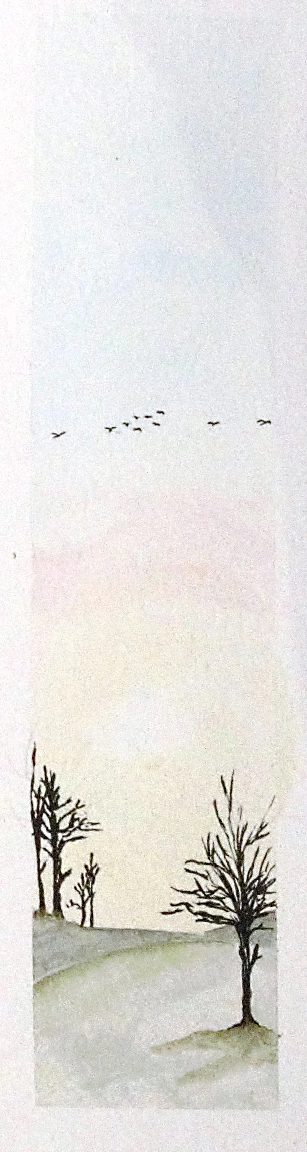 winter trees morning.jpg