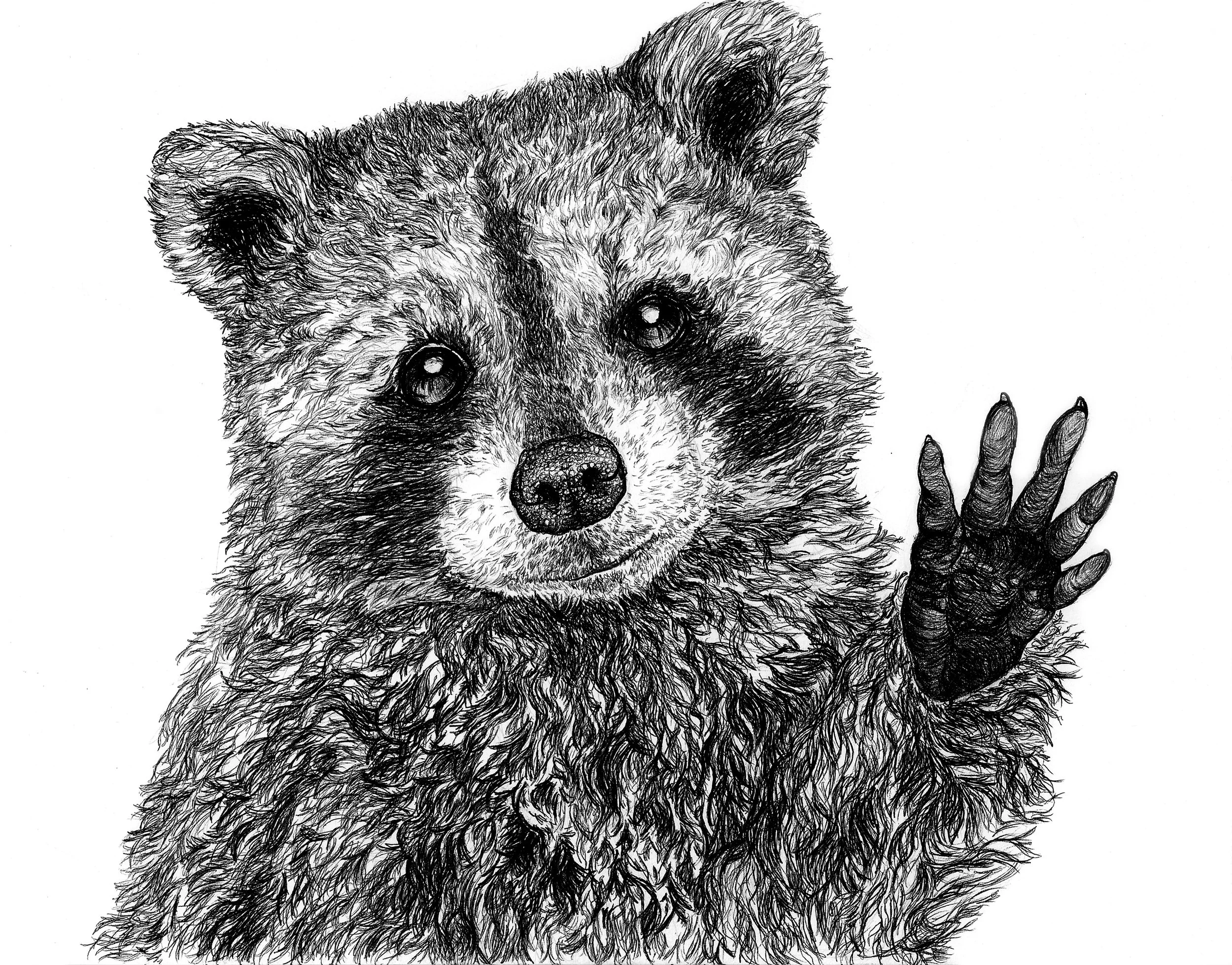 raccoon waving to print from clean.jpg