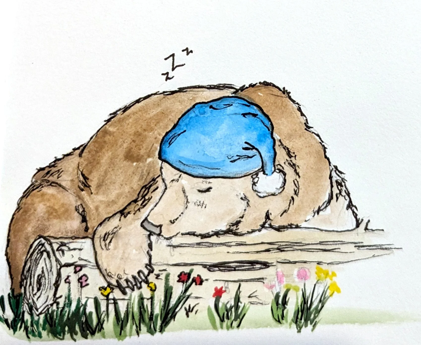sleeping bear.jpg