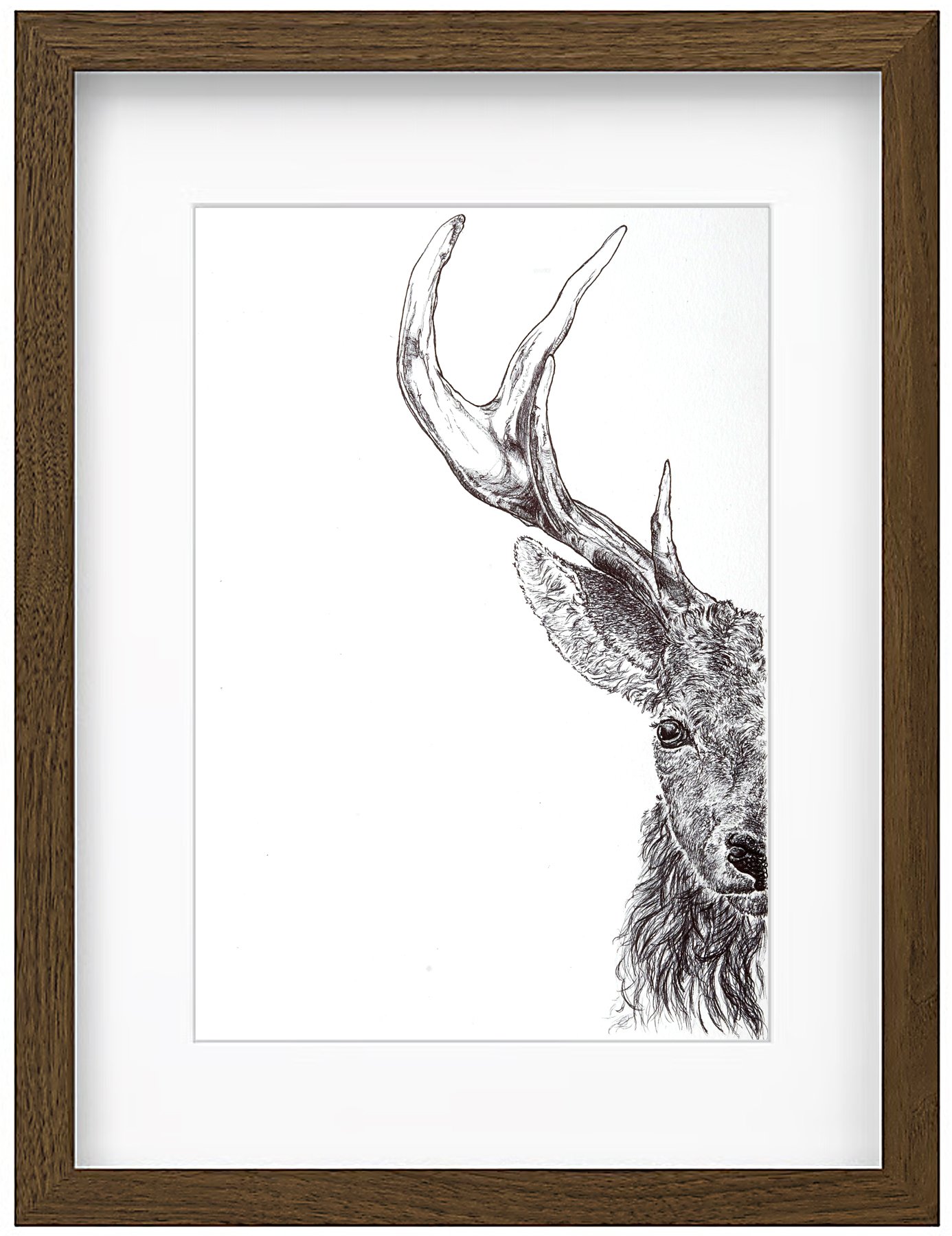 deer framed.jpg