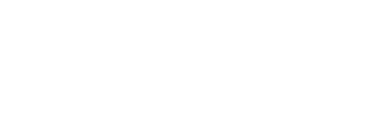 PRISM PLANNING PARTNERS