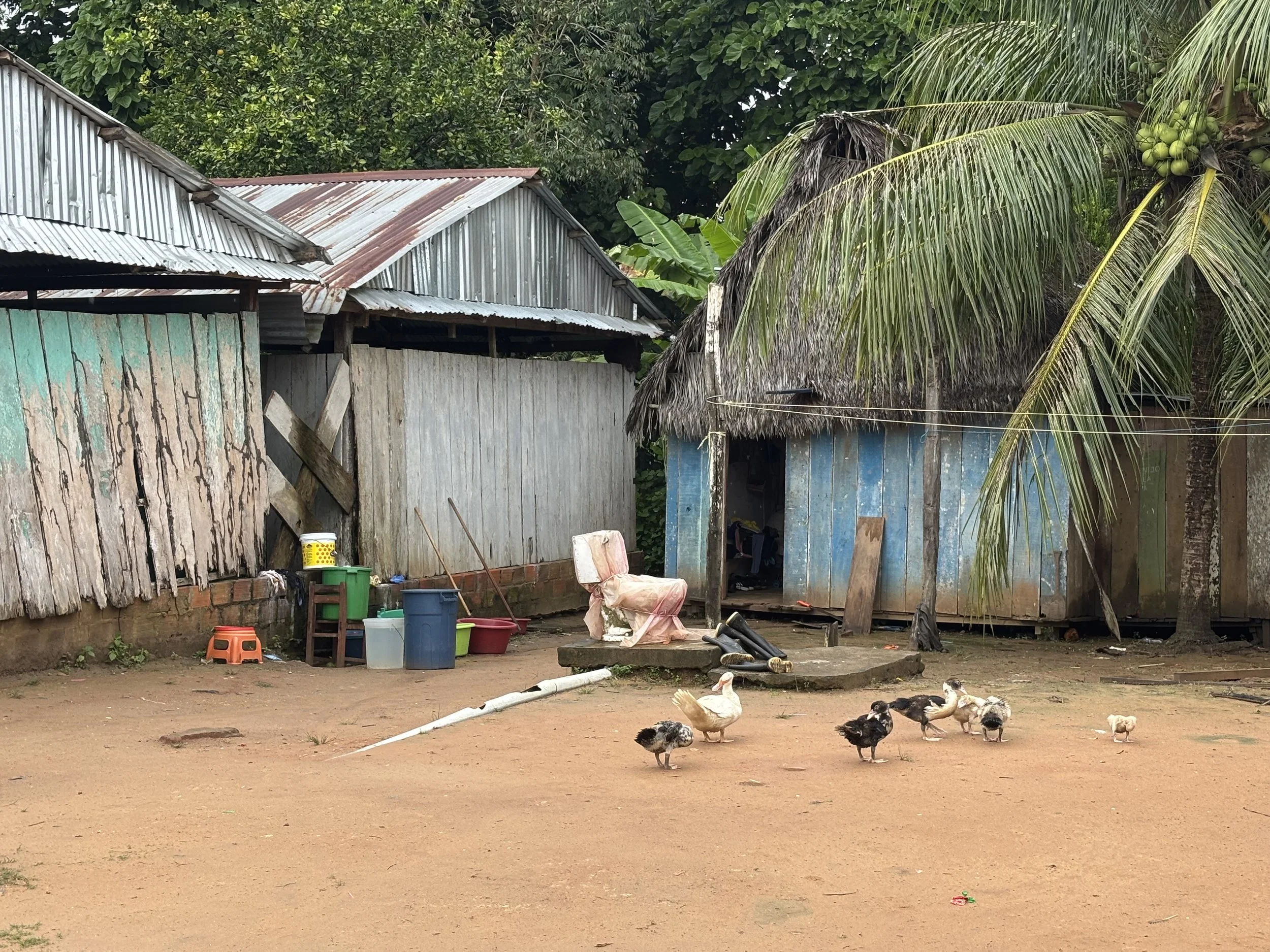 An abandoned toilet in a community in the Loreto region of Peru. Water and sanitation infrastructure is often constructed without regard for the local context, leading to unused systems that eventually fall into disrepair. (Image captured January 202
