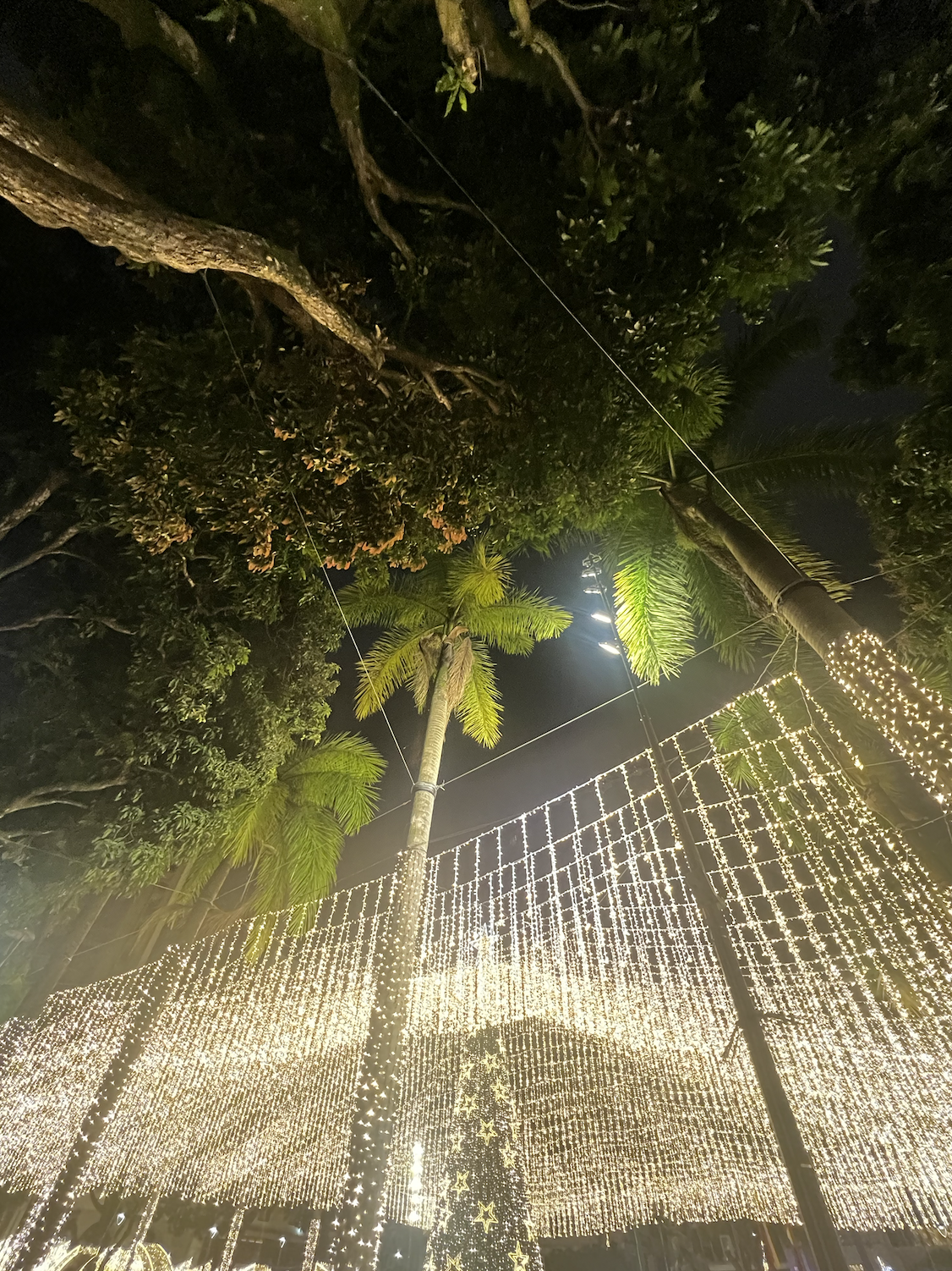 Screenshot 2026-01-05 at 3.33.31 PM.png