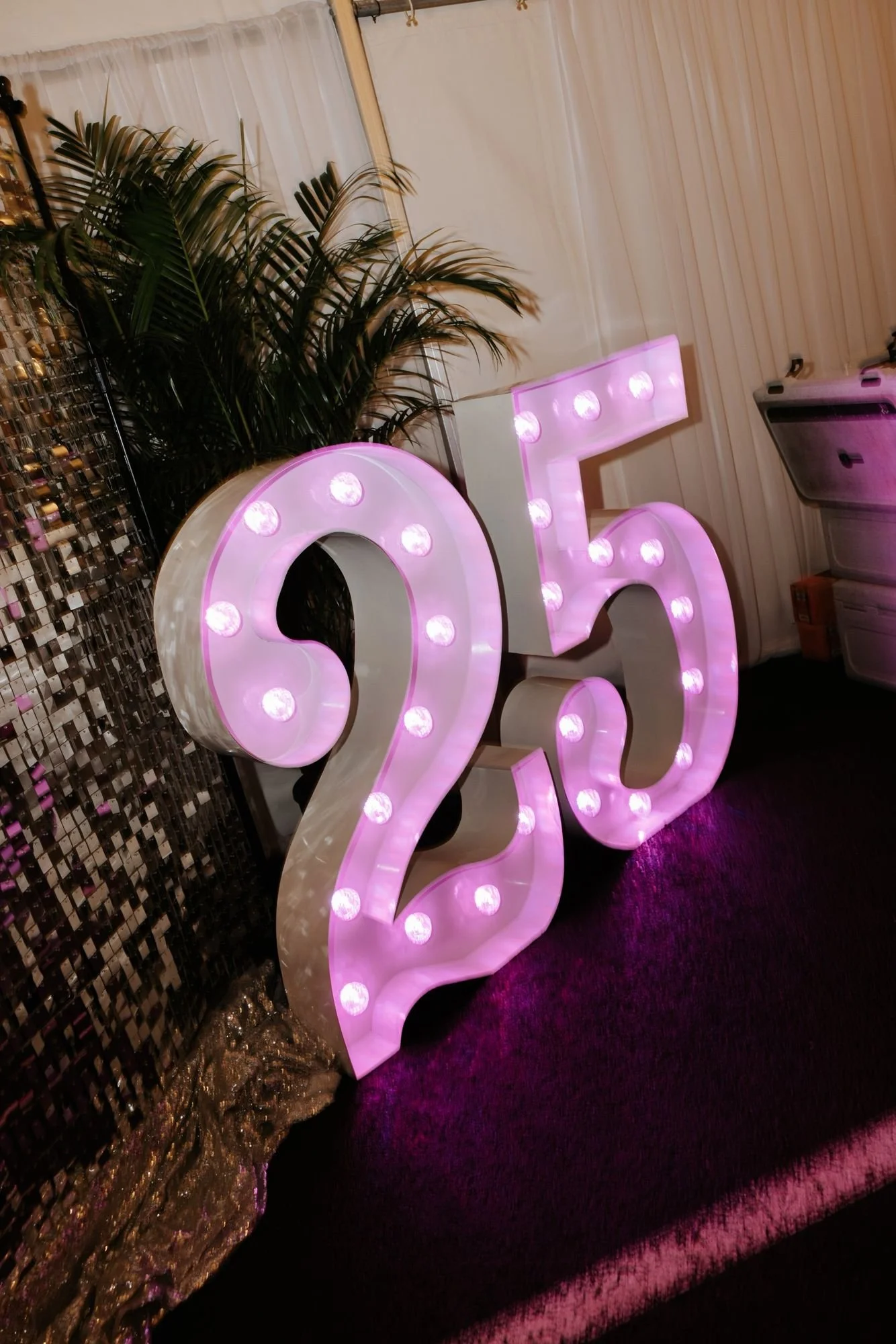 PippaColman-25-Years-extra-55.jpg