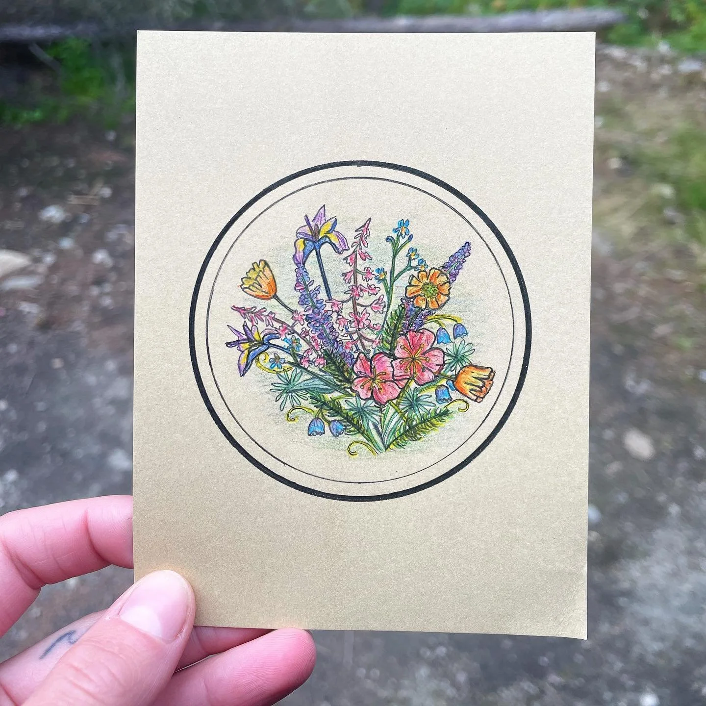 Alaska wildflowers 💐
&mdash;
Pen and colored pencil on notecard.
#alaska #art #wildflowers #drawing