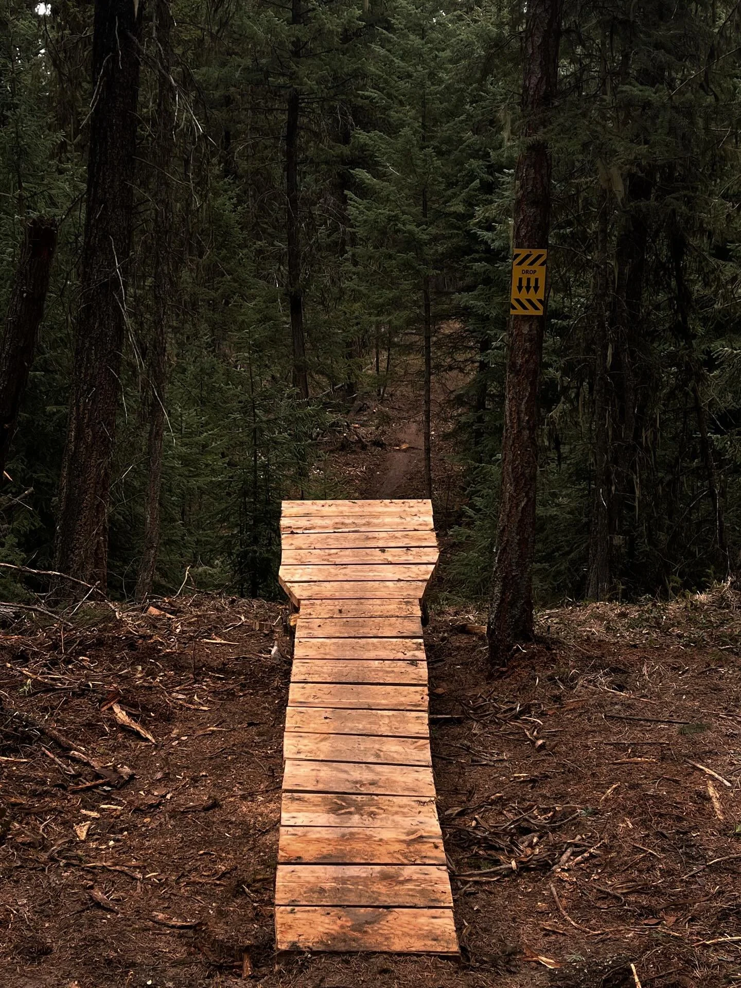 Quick and dirty little baby flat drop I added onto backdoor last season. The old trail did a hard right coming into this nice downhill that completely shut down your speed and caused you to have to pedal up the next little hill. It always drove me nu