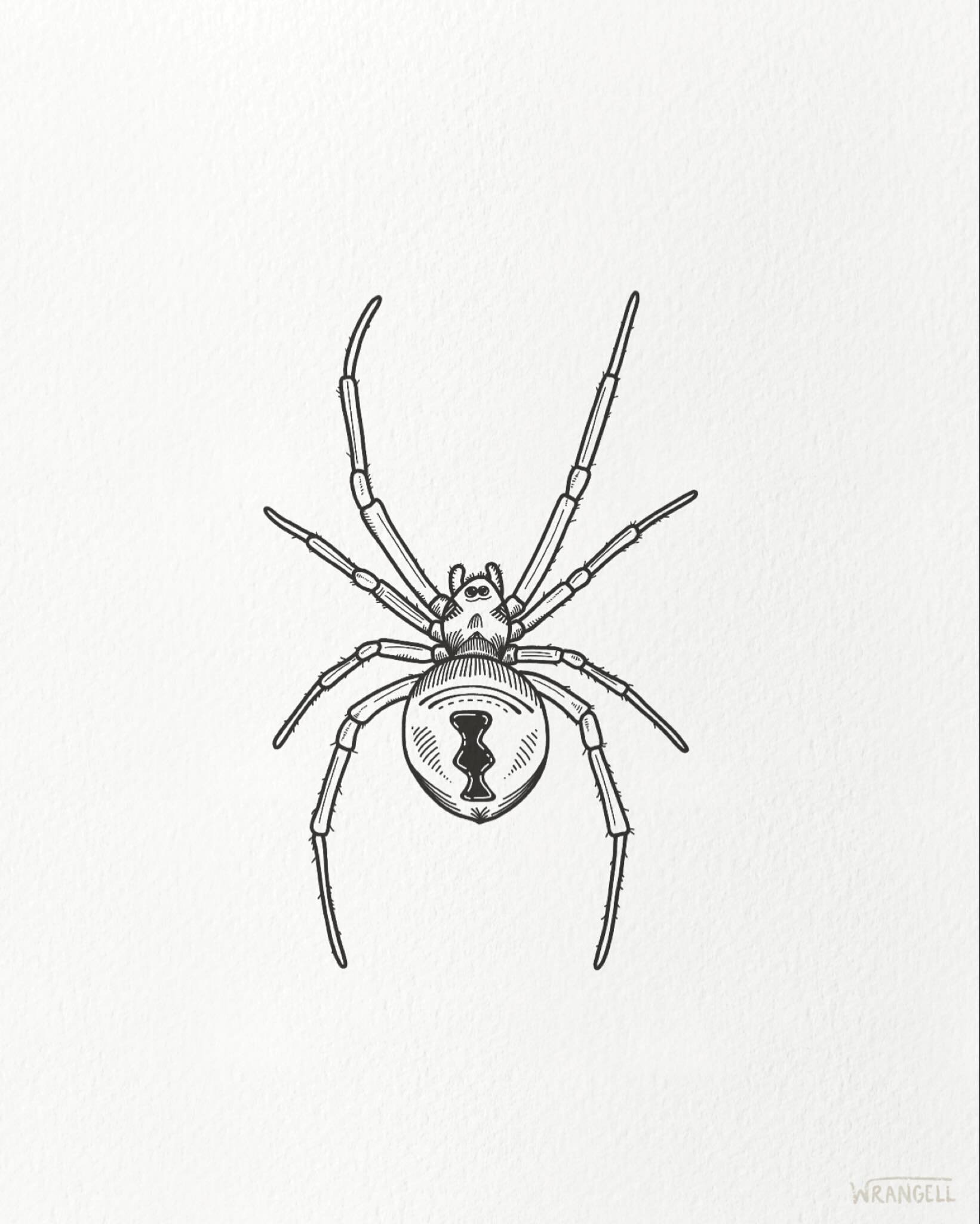 A bit late on sharing my Halloween friend 🕸️
- 
I used to be pretty freaked out by spiders but the longer I spent living on the road in my van and then my camper, I ended up encountering so many of them that I ultimately had to challenge my fear of 