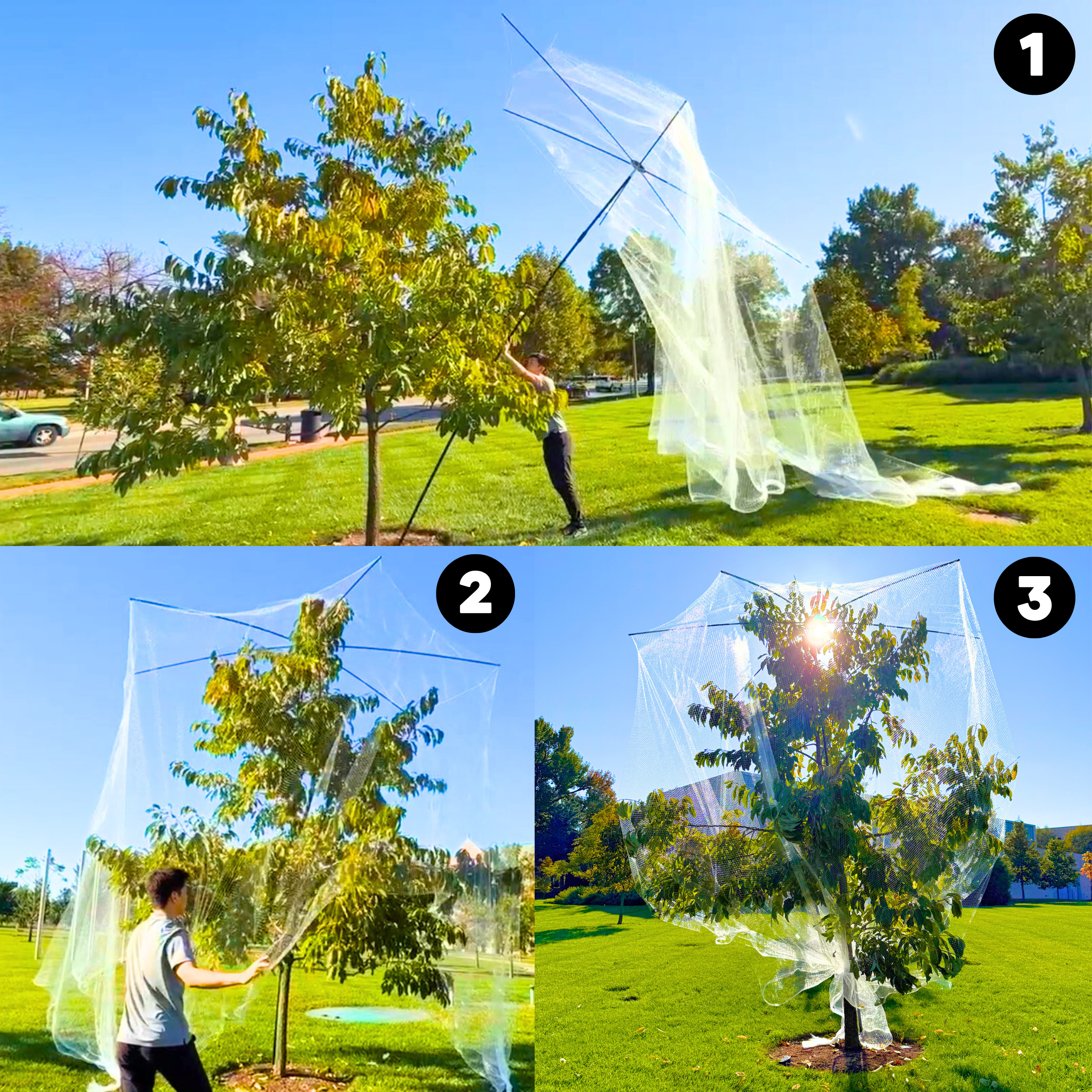 Copy of Adjustable Height Along Tall Trees.png