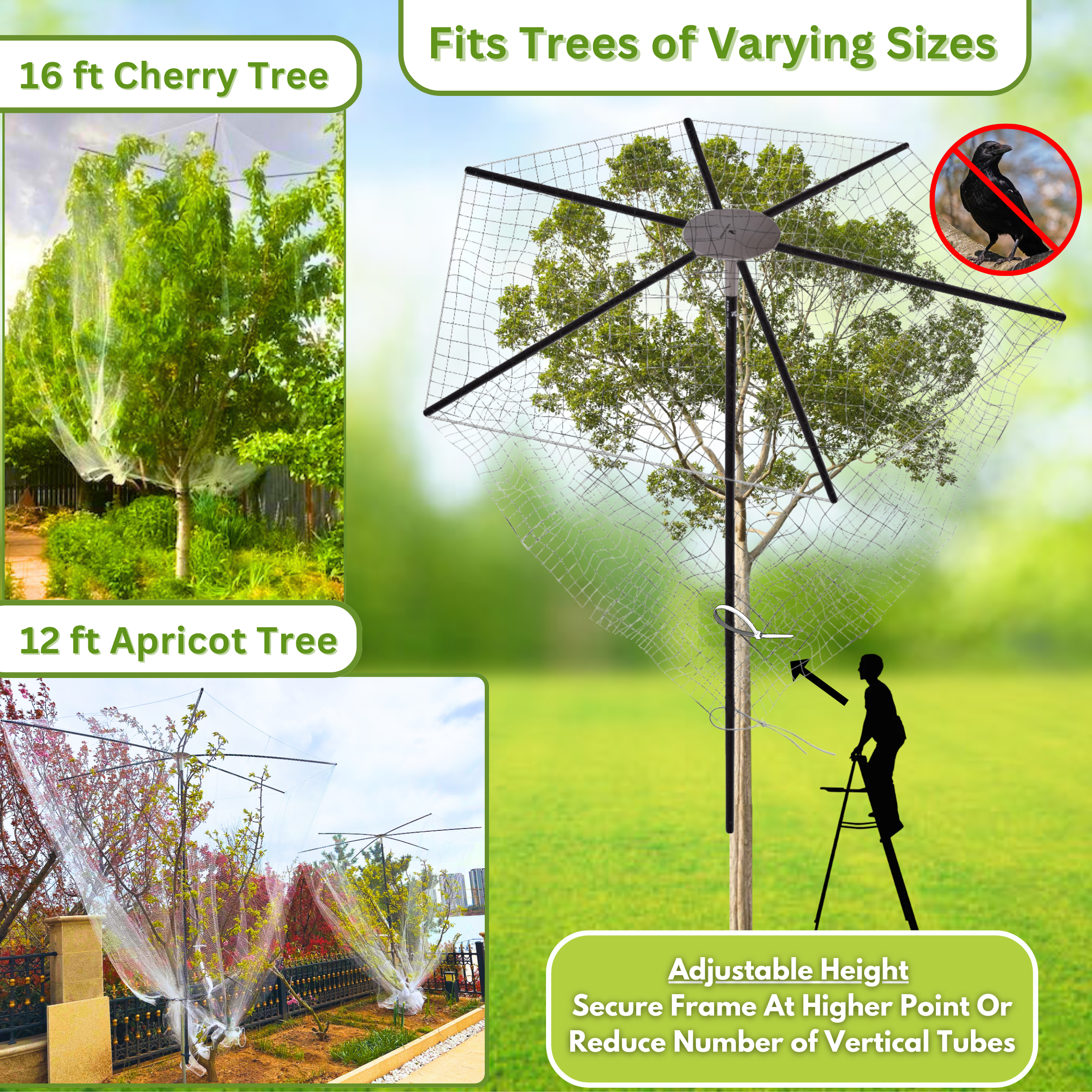 Fit For Trees of All Sizes (1).png
