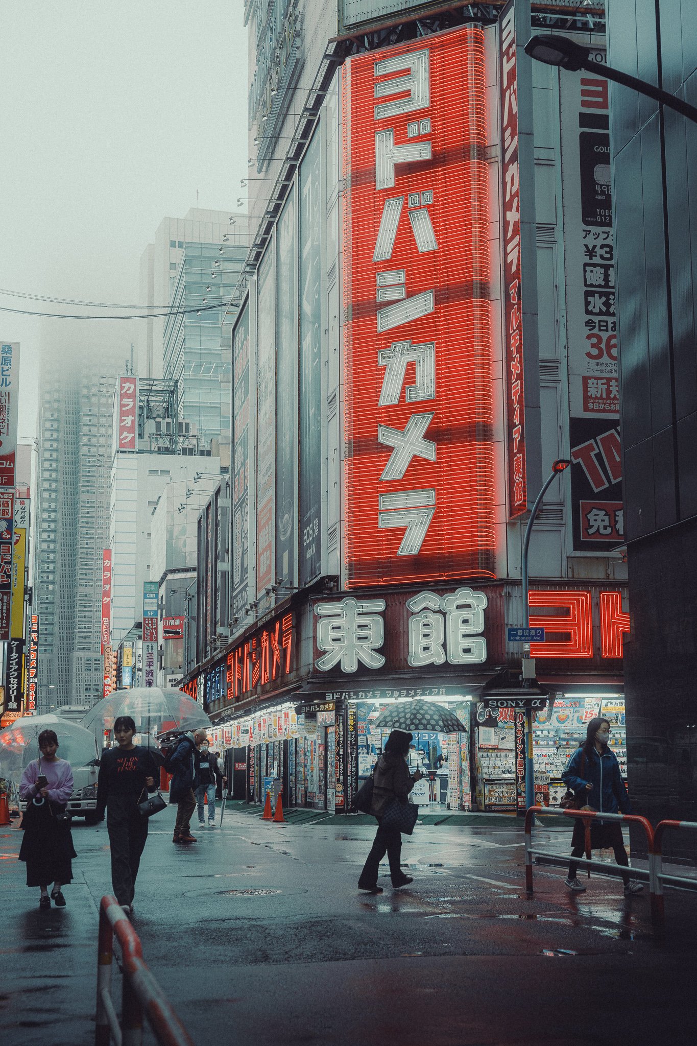Neon Rain in Shinjuku.jpg