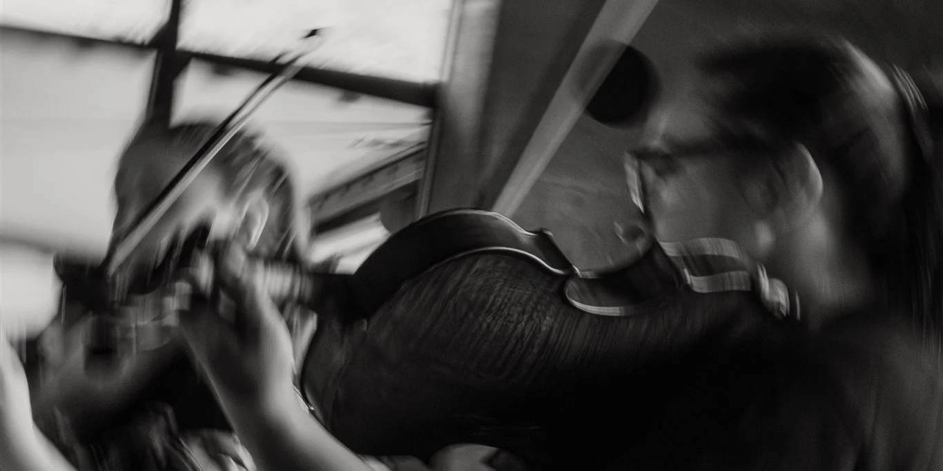 WHORL | Exploring recurring patterns and motifs drawn from nature