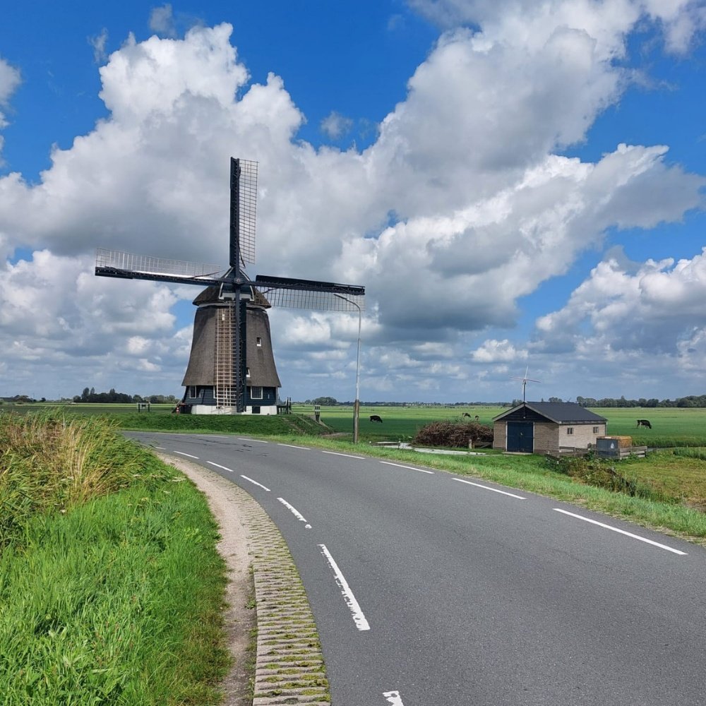 Learning Dutch is pretty low risk.

Worst case?

&rarr; I say things wrong.
&rarr; People laugh.

It&rsquo;s slow.
But time is on my side.

No real downside to the time invested.

Property &amp; loan decisions don&rsquo;t work like that.

&rarr; Lear