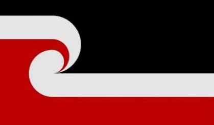 🚨🚨 URGENT ACTION!! 🚨🚨 MĀORI WARDS 
WHANGANUI - 1PM TODAY
Whanganui District Council
Bring your tino rangatirotanga flags.

Whanganui District Council is voting on Māori Wards at 1PM TODAY. Apologies for the late notice but we were only just notif