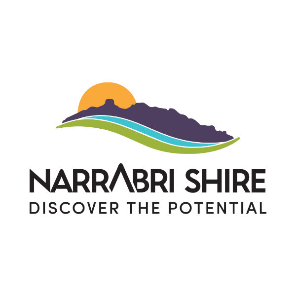 Senior Corporate Risk Advisor