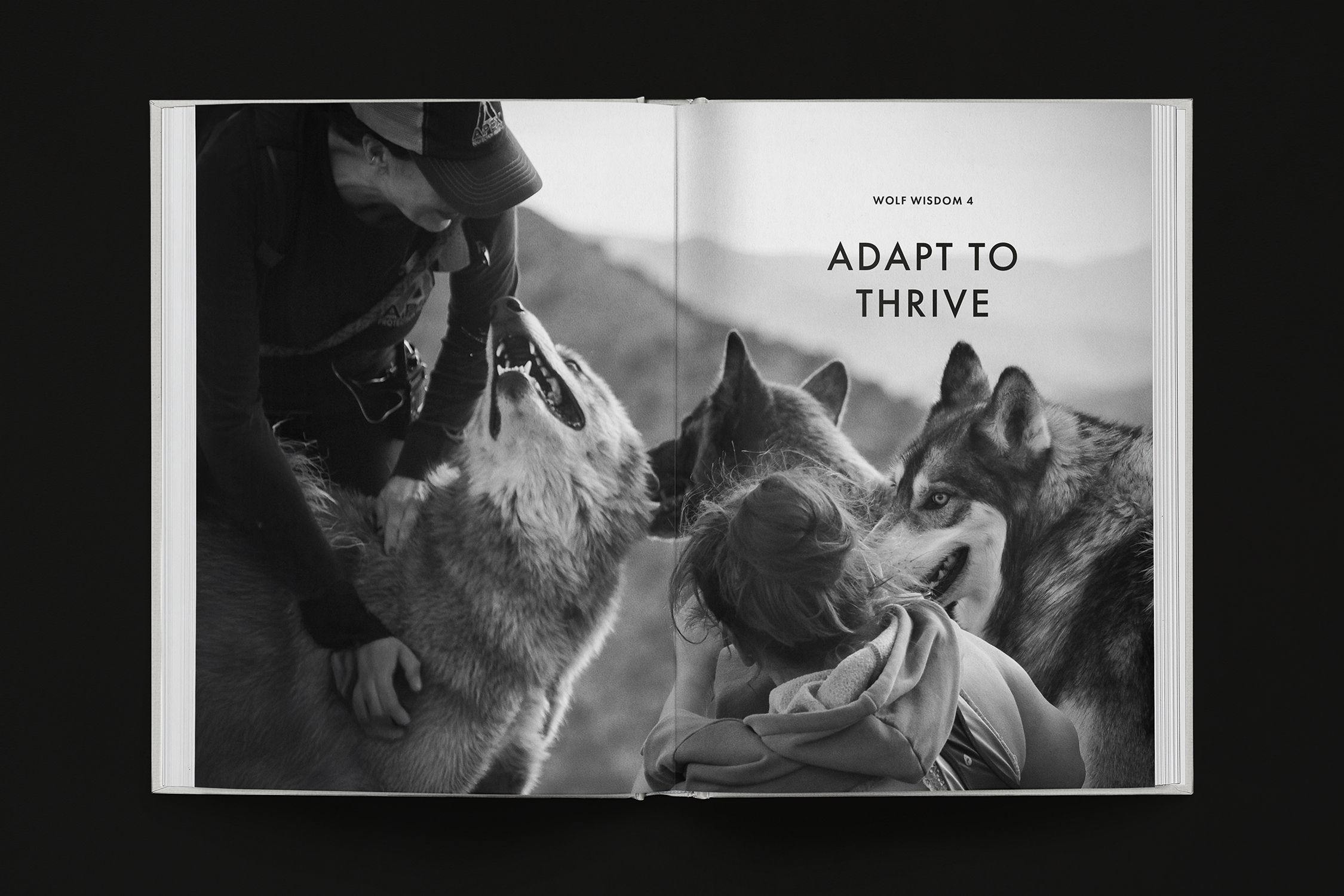 wolfwisdom4.png