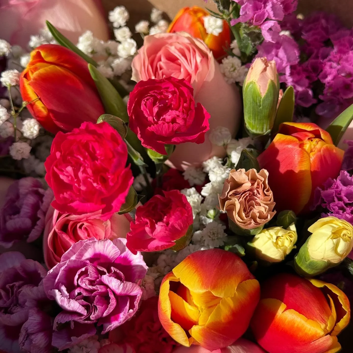 💐 feb &amp; mar &amp; early april 

life keeps moving. sometimes without my consent. working from home &amp; its surrounding areas. capturing sunshine when she peaks through clouds (or rainbows!!). spending money on colourful objects that make home 