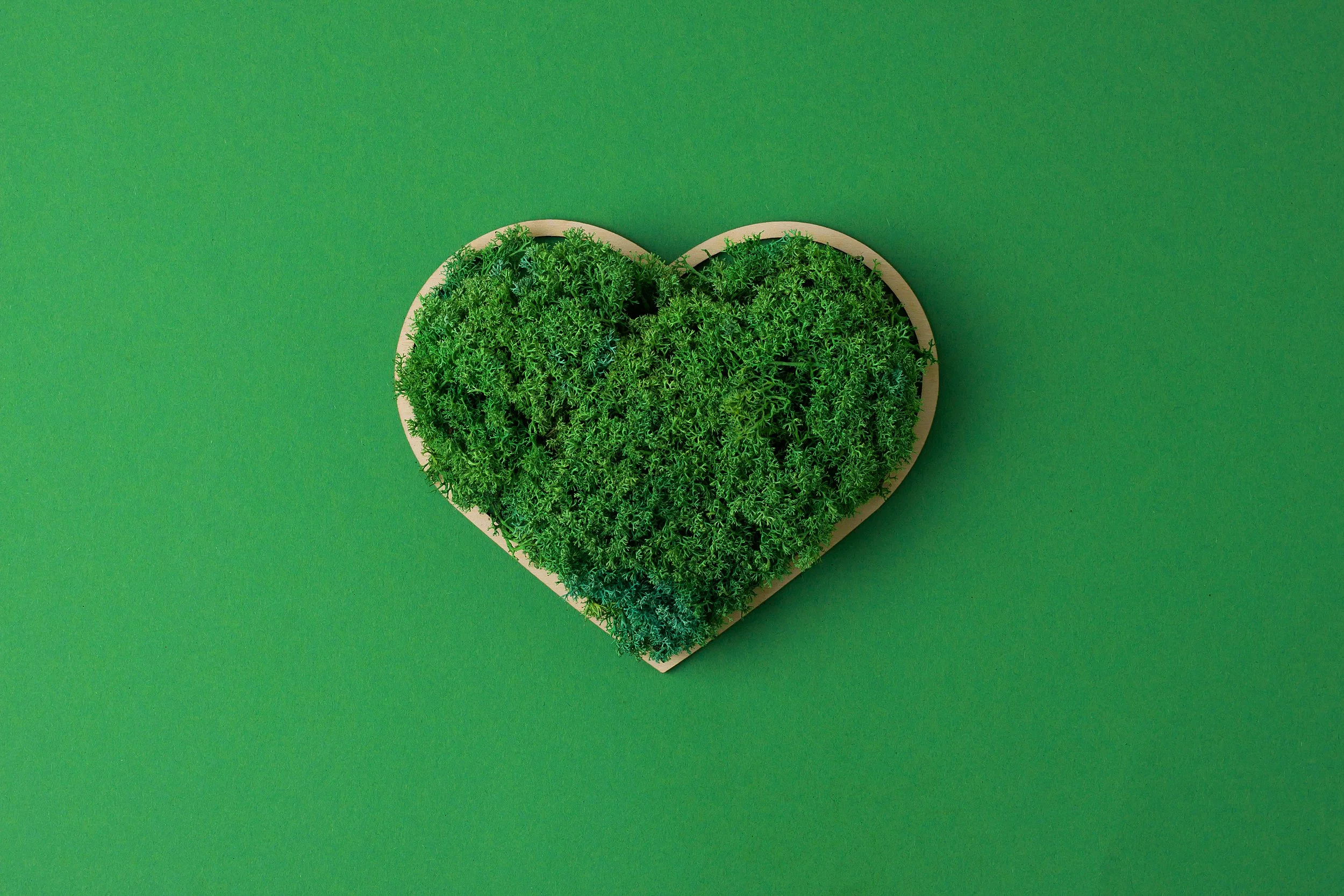 vecteezy_cosmetic-background-with-a-wooden-heart-and-moss-on-green_12879245.jpg