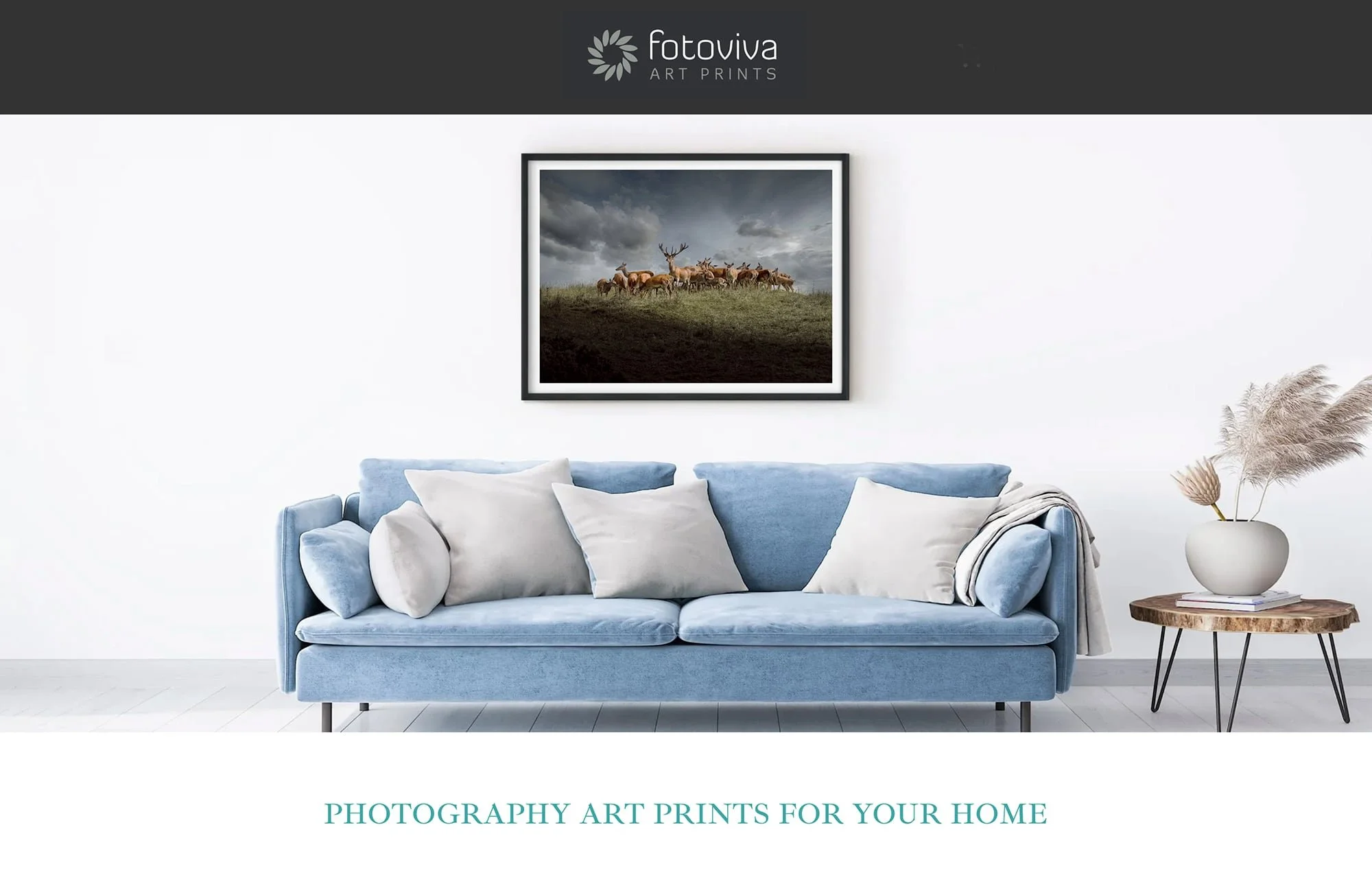 Fotoviva home prints by Tim Wallace