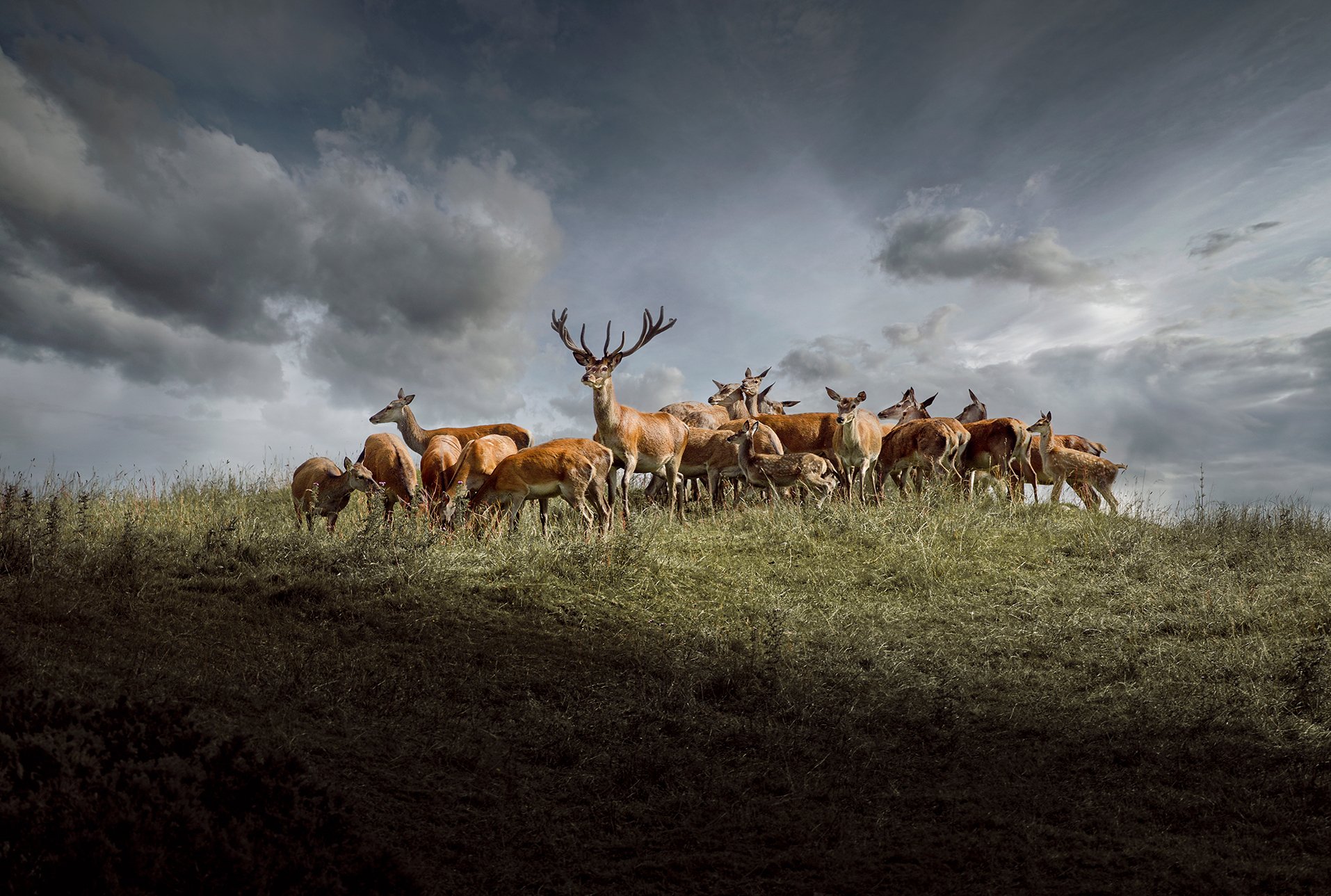 Seeing Before Shooting